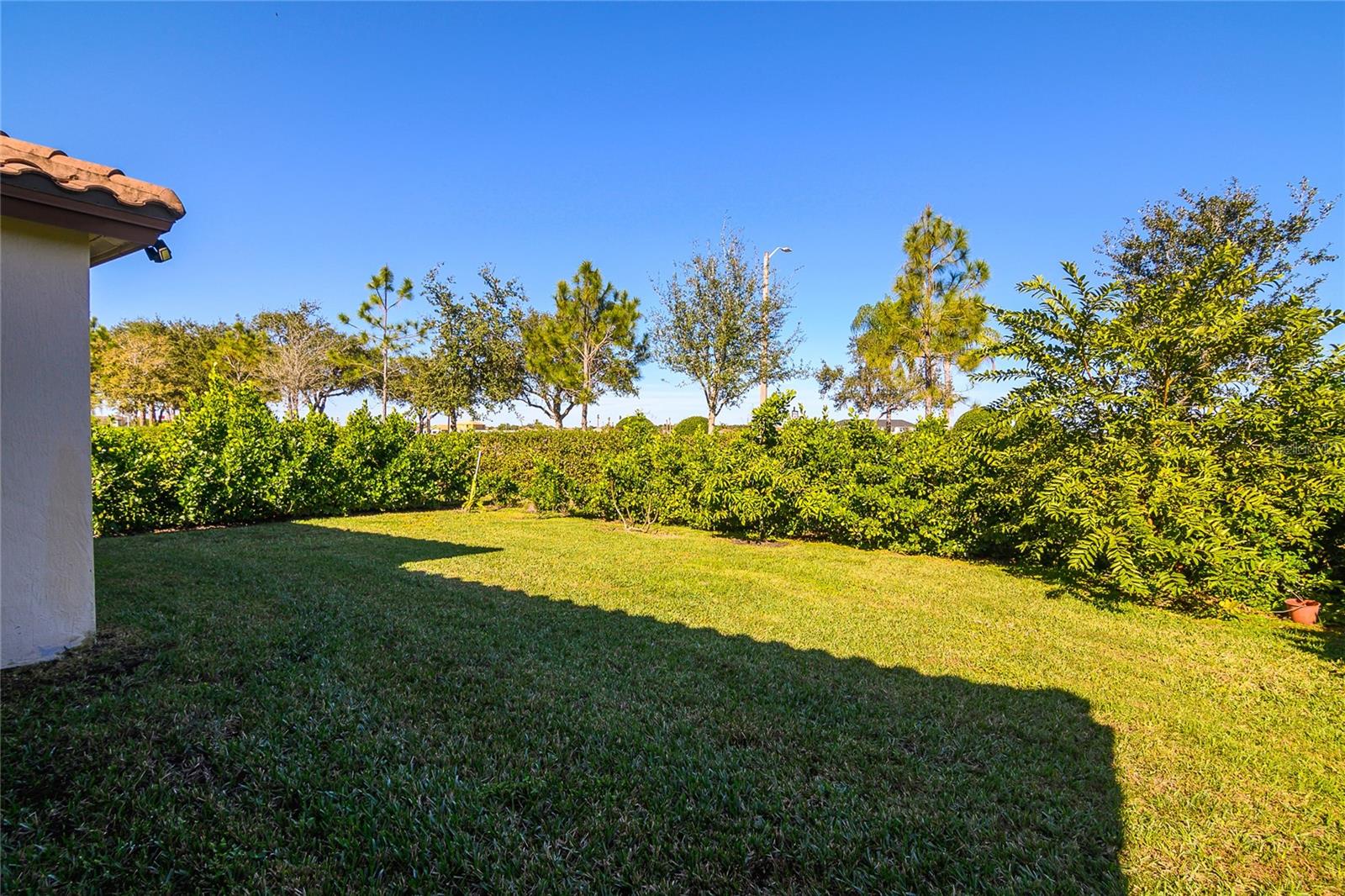 4834 CORRADO WAY, AVE MARIA, FL — photo 30