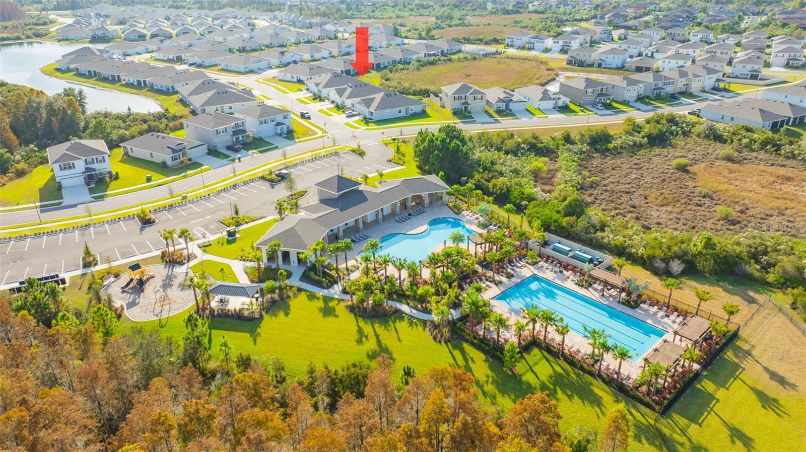 2555 BENDING BONSAI DR, WESLEY CHAPEL, FL — photo 9