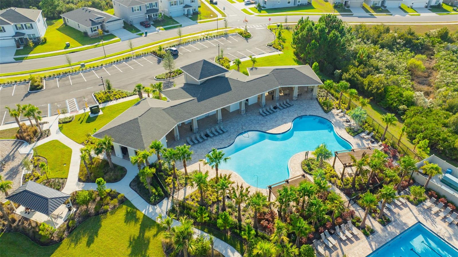 2555 BENDING BONSAI DR, WESLEY CHAPEL, FL — photo 11