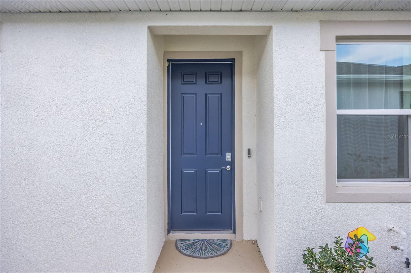 2555 BENDING BONSAI DR, WESLEY CHAPEL, FL — photo 12