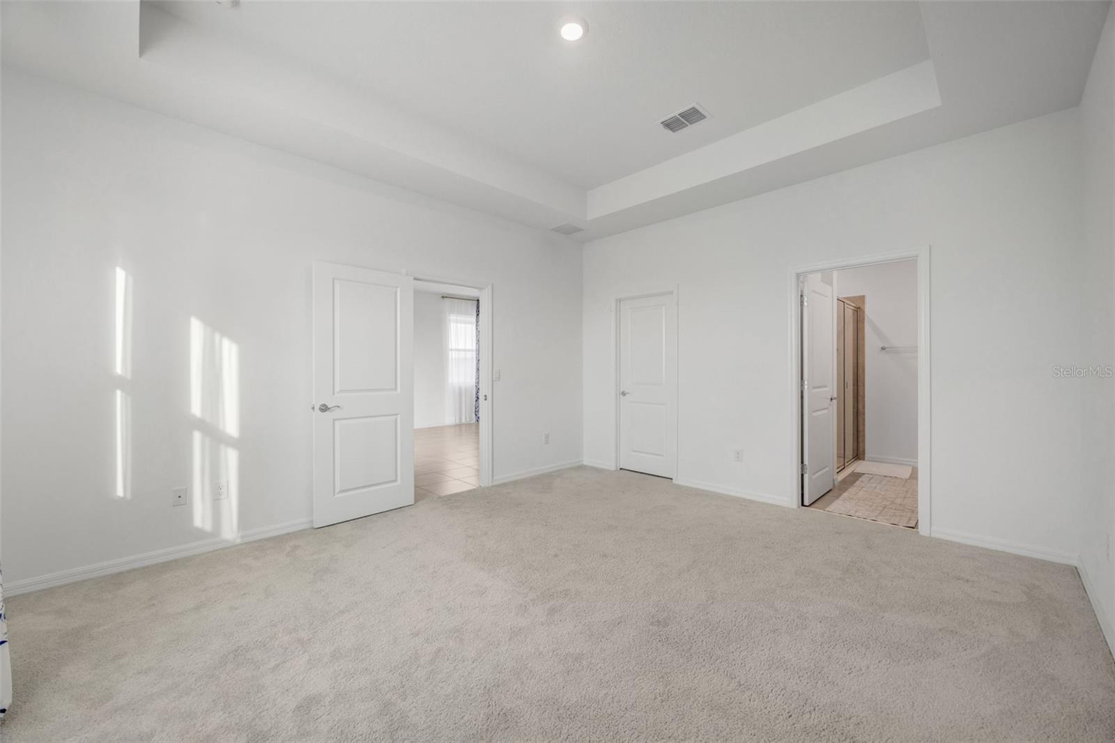 2555 BENDING BONSAI DR, WESLEY CHAPEL, FL — photo 19