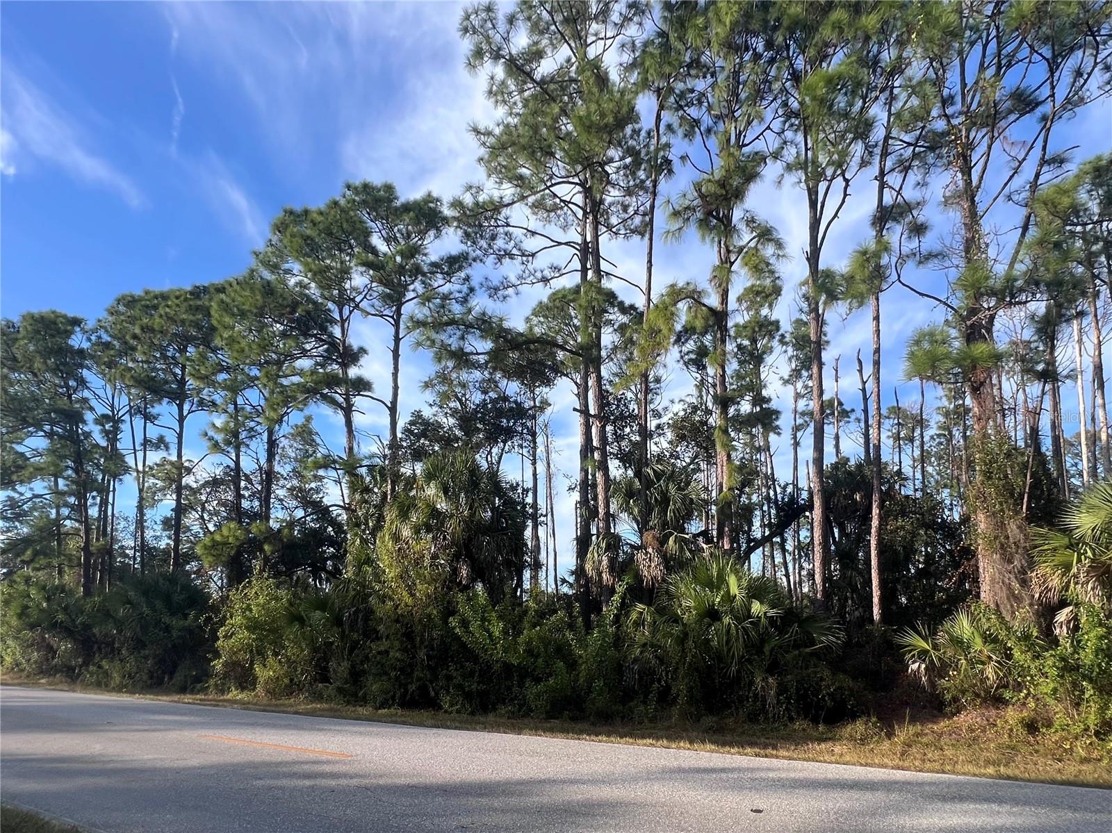 13486 CHAMBERLAIN BLVD, PORT CHARLOTTE, FL