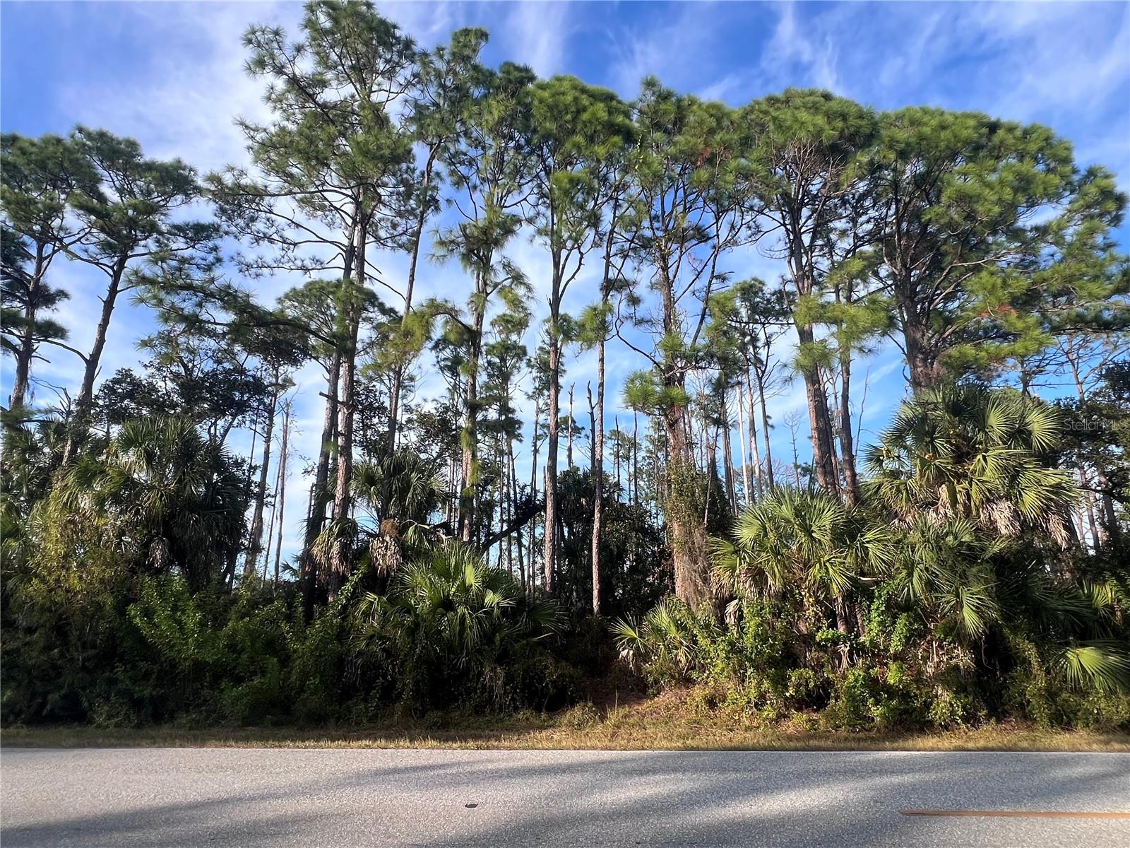 13486 CHAMBERLAIN BLVD, PORT CHARLOTTE, FL — photo 2