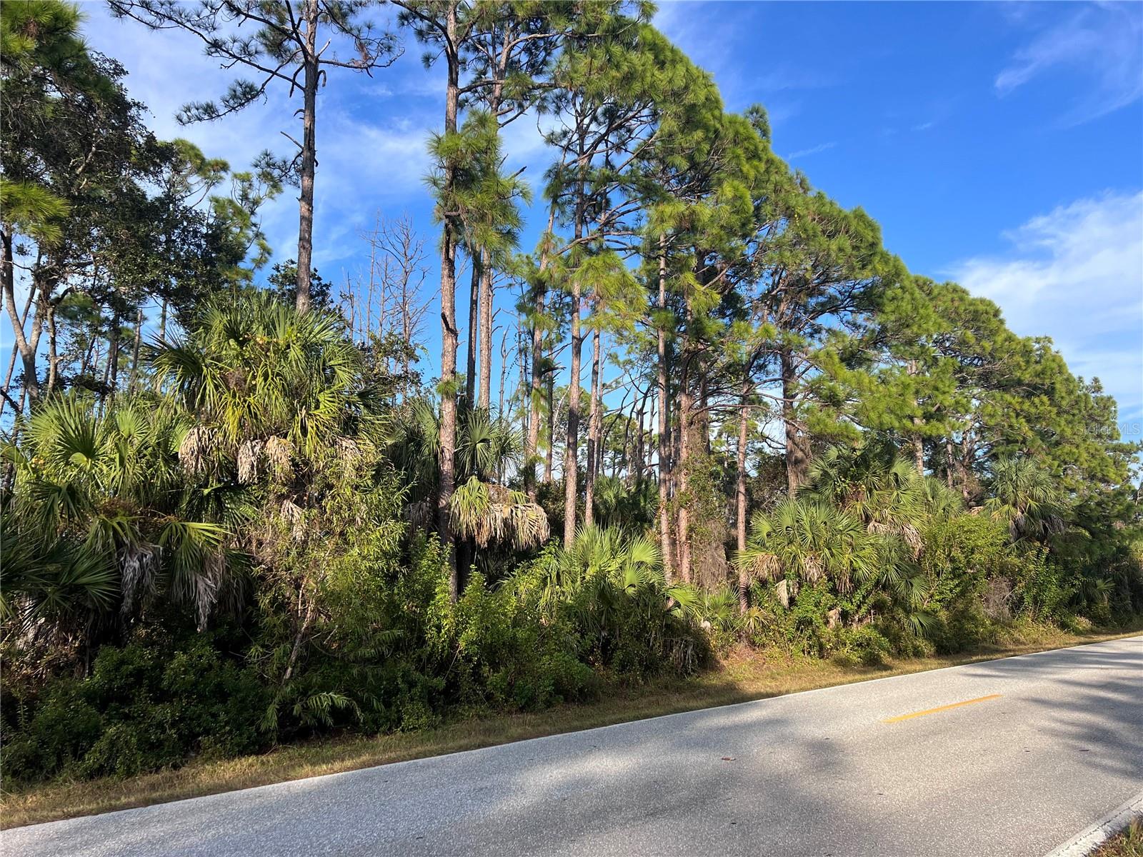 13486 CHAMBERLAIN BLVD, PORT CHARLOTTE, FL — photo 3