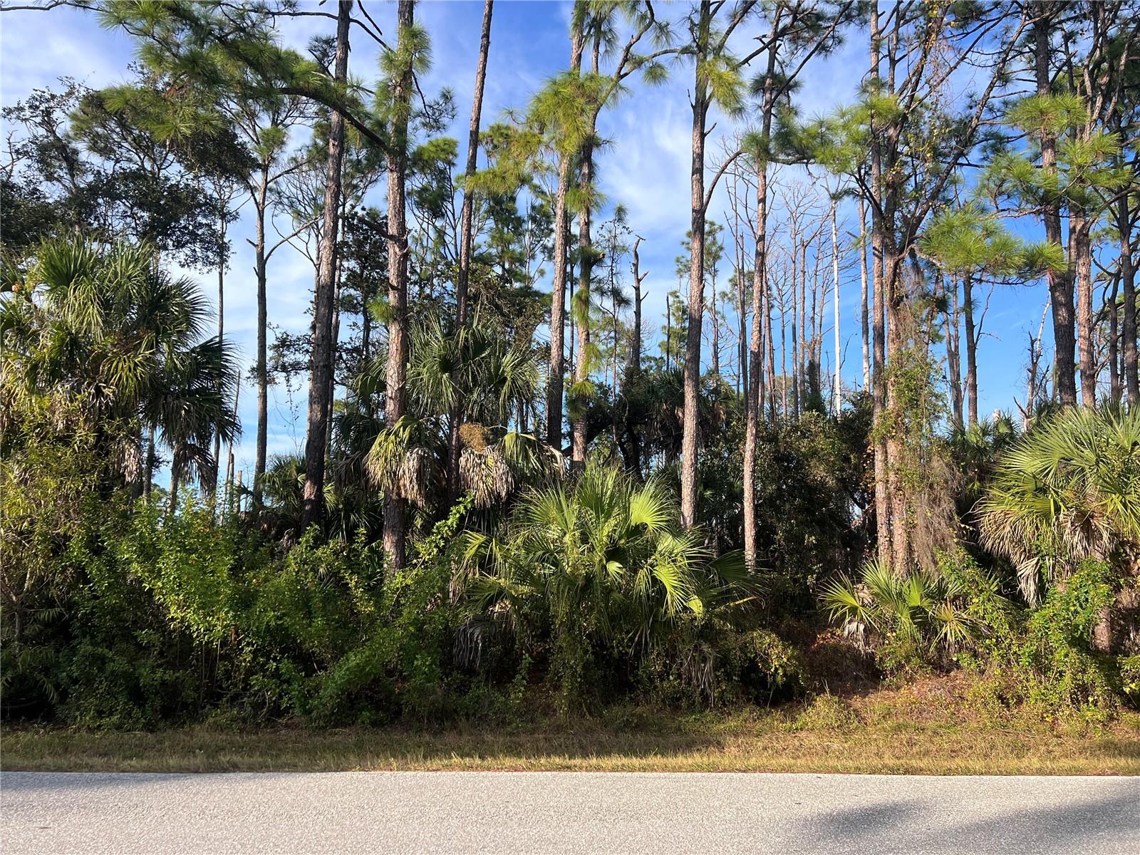 13486 CHAMBERLAIN BLVD, PORT CHARLOTTE, FL — photo 4