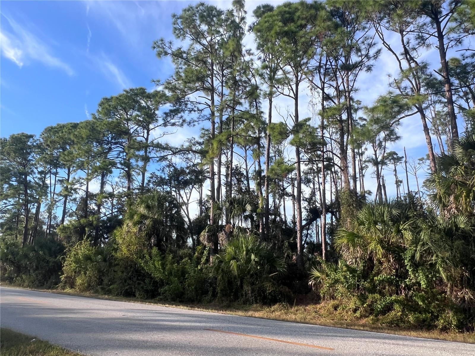 13486 CHAMBERLAIN BLVD, PORT CHARLOTTE, FL — photo 8