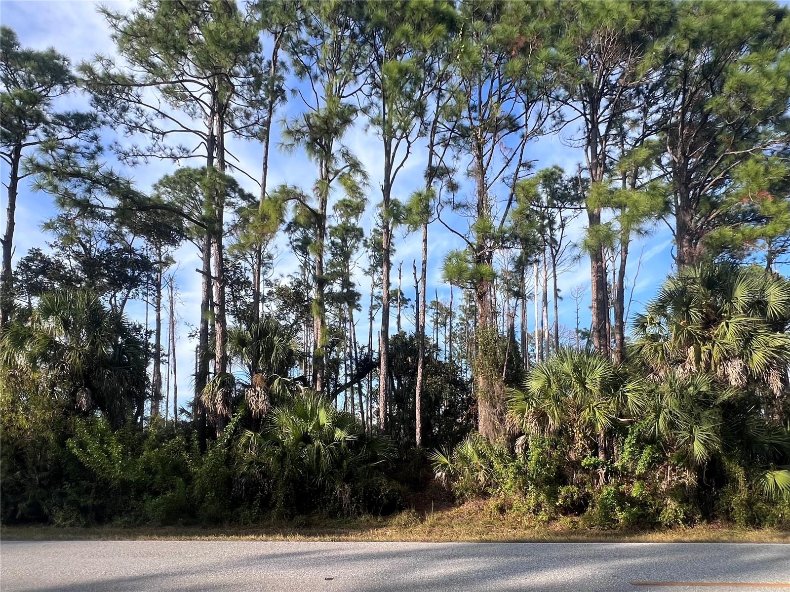 13486 CHAMBERLAIN BLVD, PORT CHARLOTTE, FL — photo 9