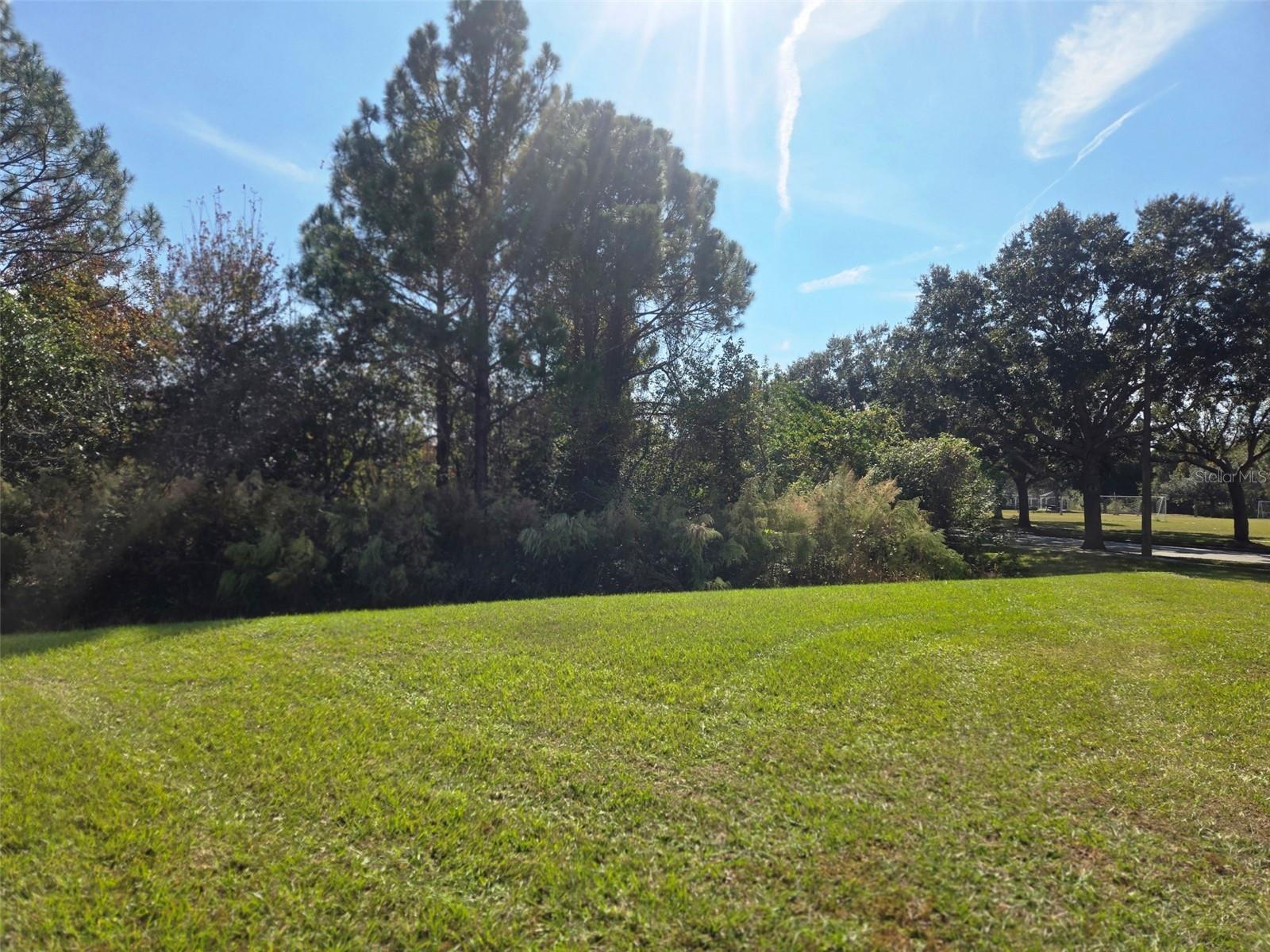 3001 MANDOLIN DR, KISSIMMEE, FL — photo 67