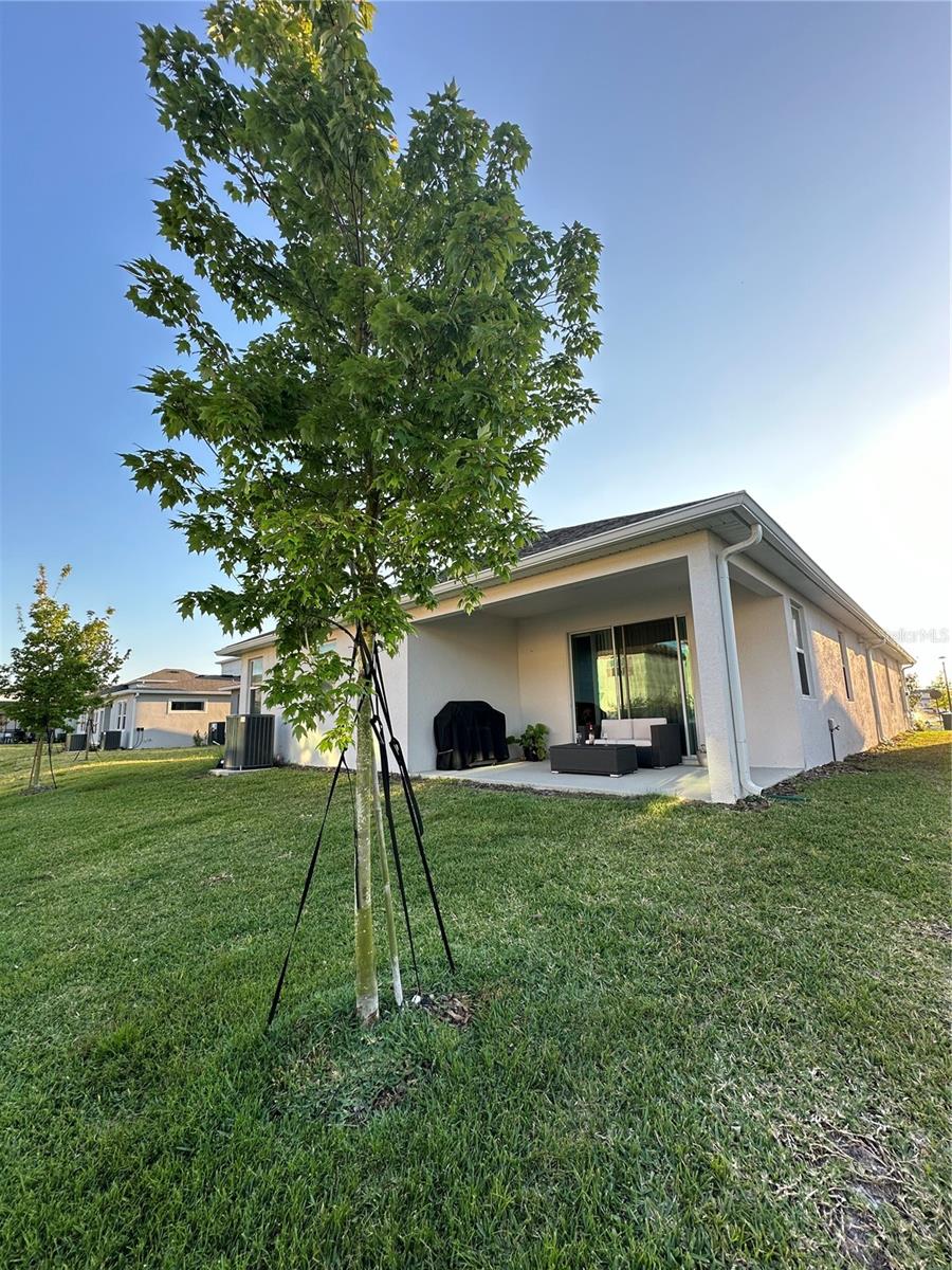14827 MILFOIL AVE, ORLANDO, FL — photo 4