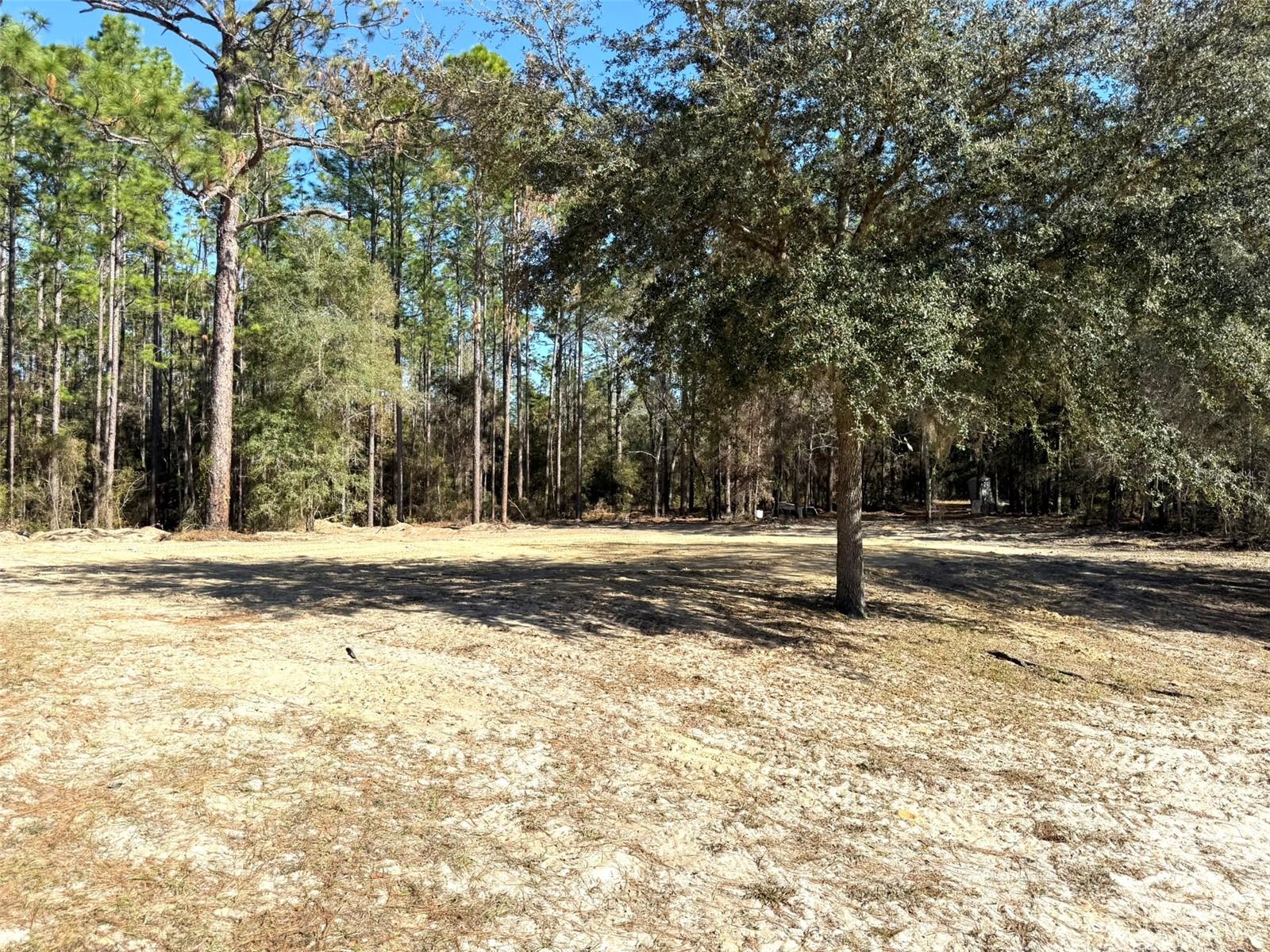 1180 SW 158TH AVE, OCALA, FL — photo 5