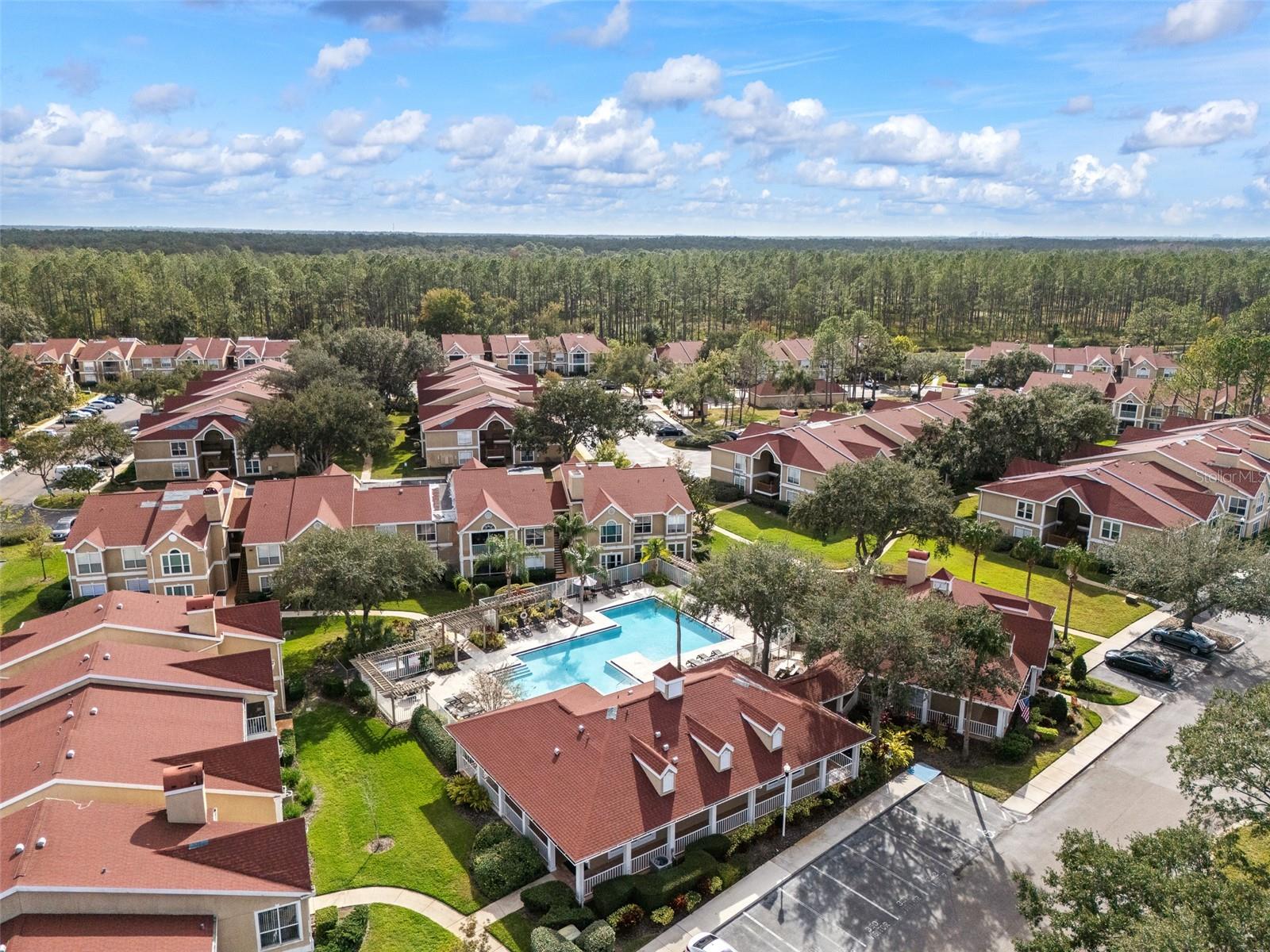 9481 HIGHLAND OAK DR #1709, TAMPA, FL — photo 32