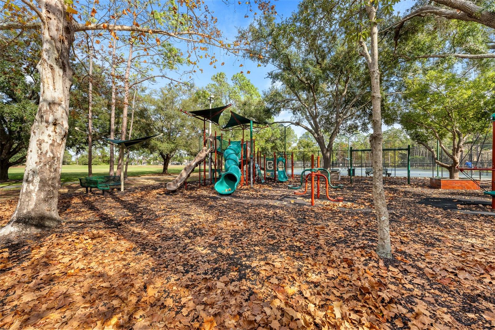9481 HIGHLAND OAK DR #1709, TAMPA, FL — photo 34