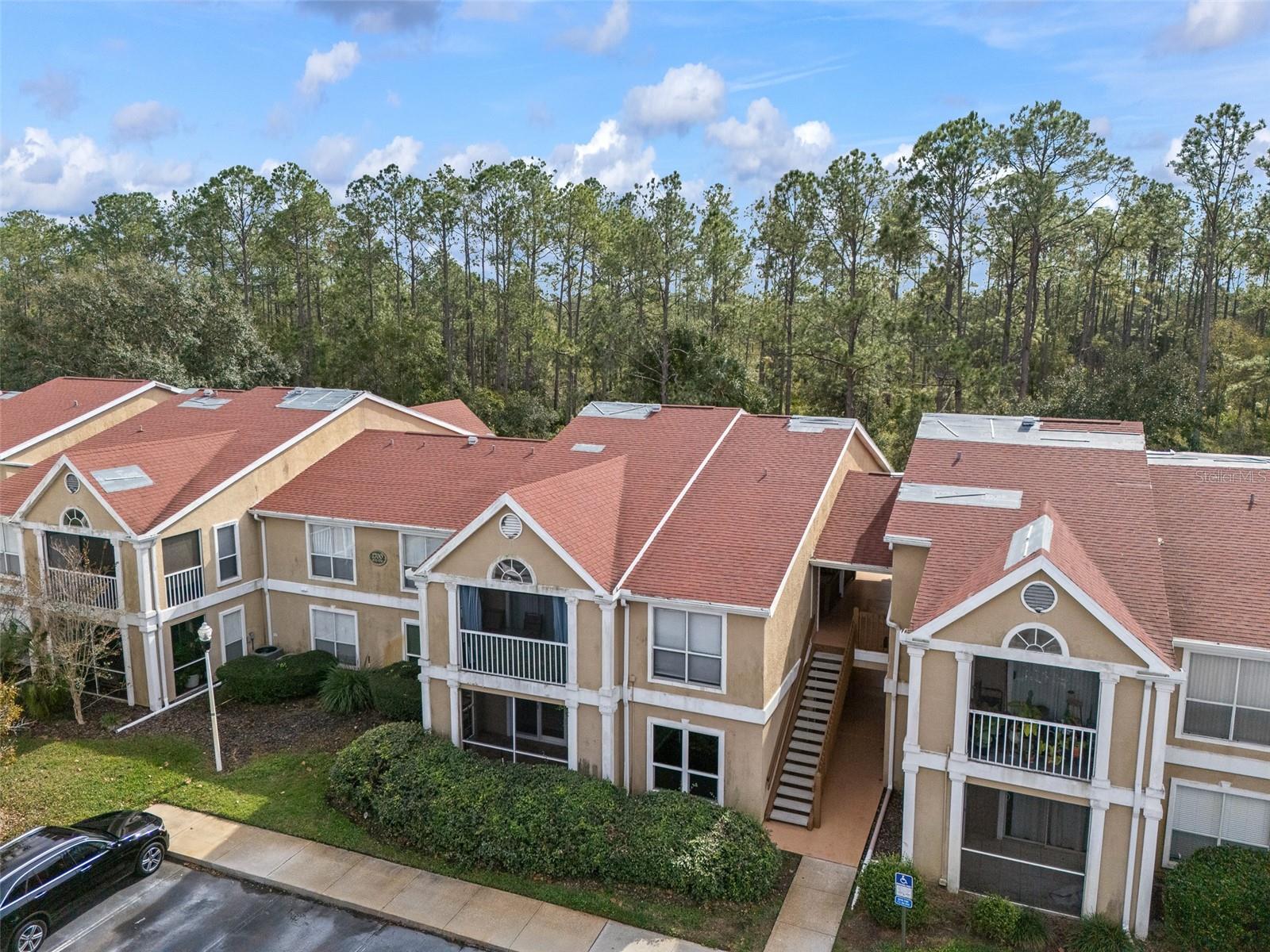 9481 HIGHLAND OAK DR #1709, TAMPA, FL — photo 38