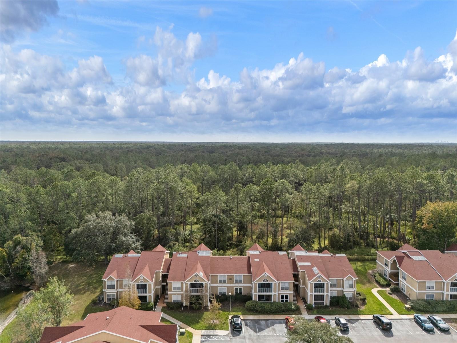 9481 HIGHLAND OAK DR #1709, TAMPA, FL — photo 39
