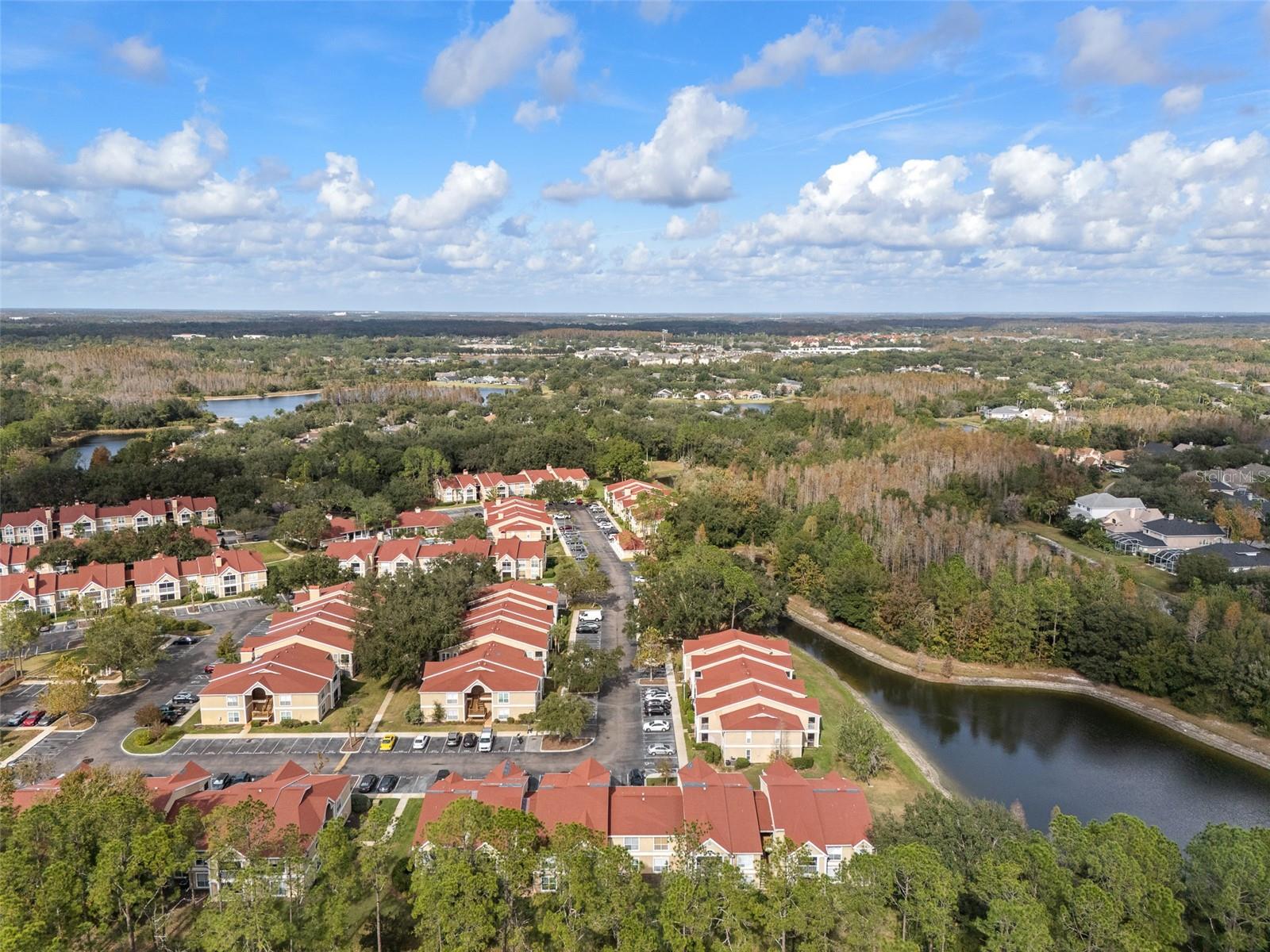 9481 HIGHLAND OAK DR #1709, TAMPA, FL — photo 40