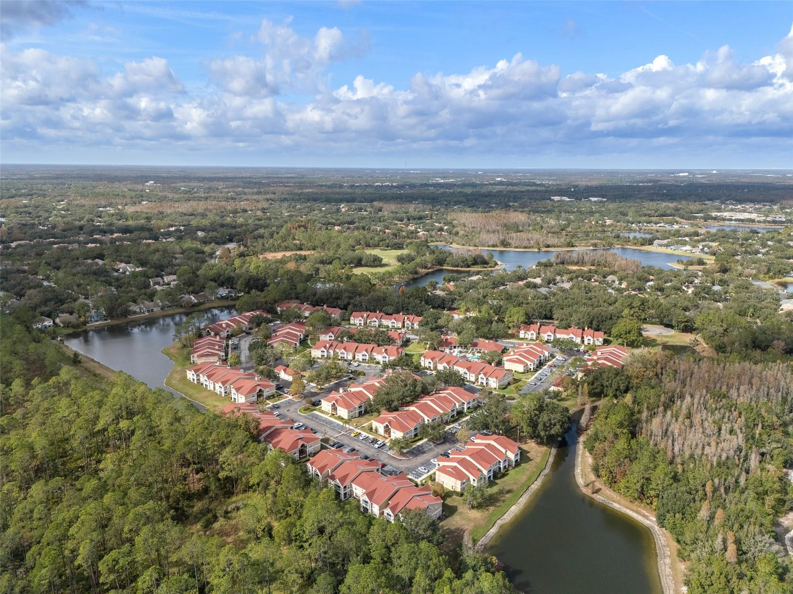 9481 HIGHLAND OAK DR #1709, TAMPA, FL — photo 41