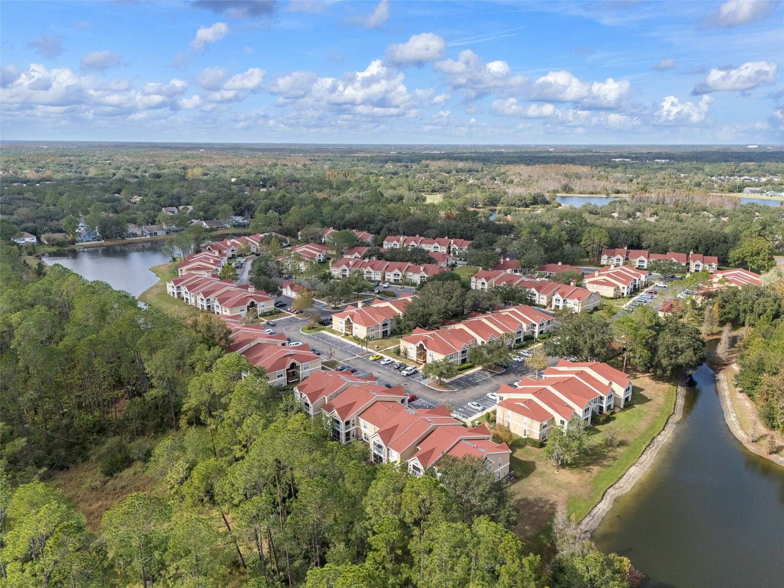 9481 HIGHLAND OAK DR #1709, TAMPA, FL — photo 42