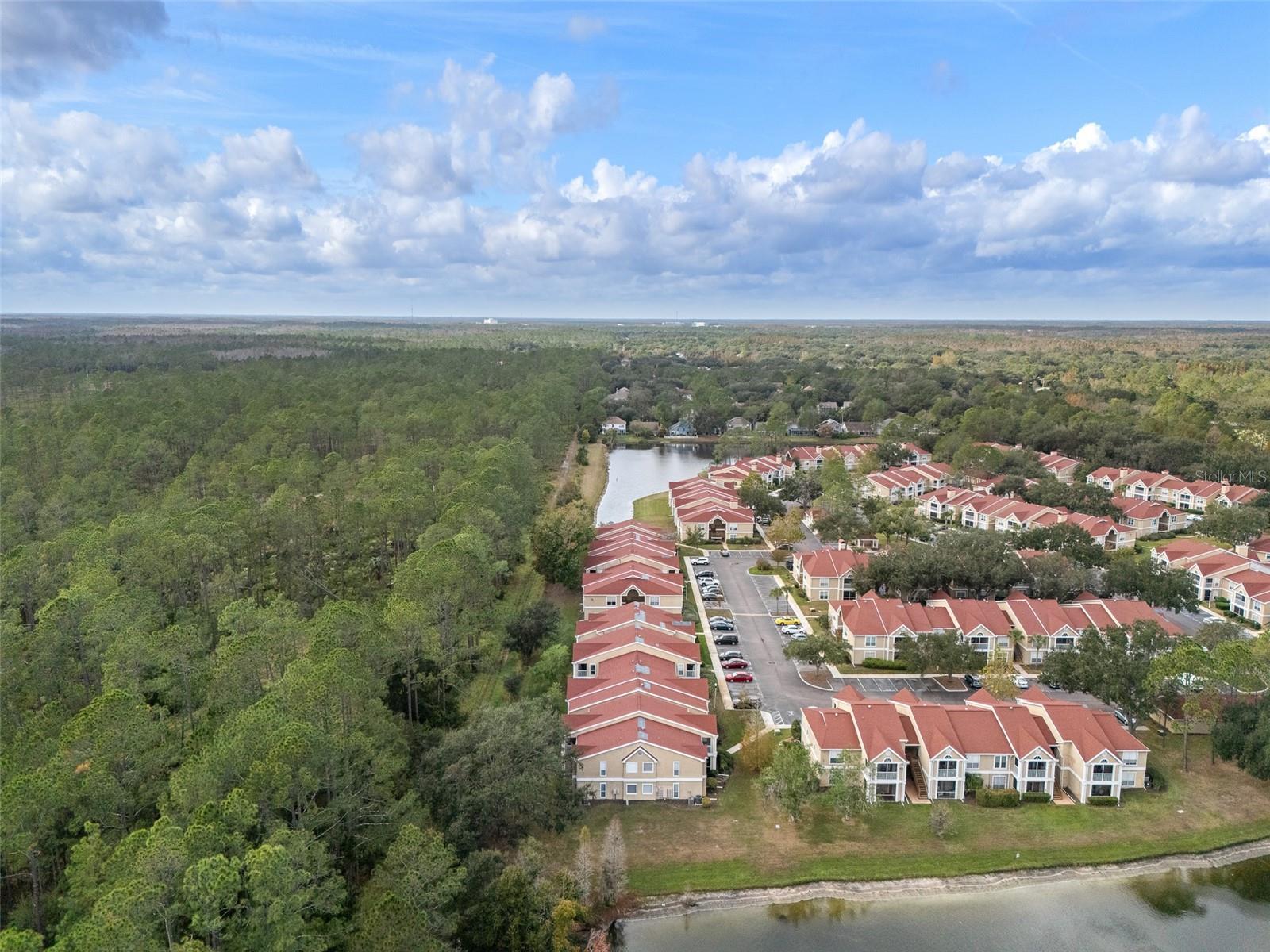 9481 HIGHLAND OAK DR #1709, TAMPA, FL — photo 43
