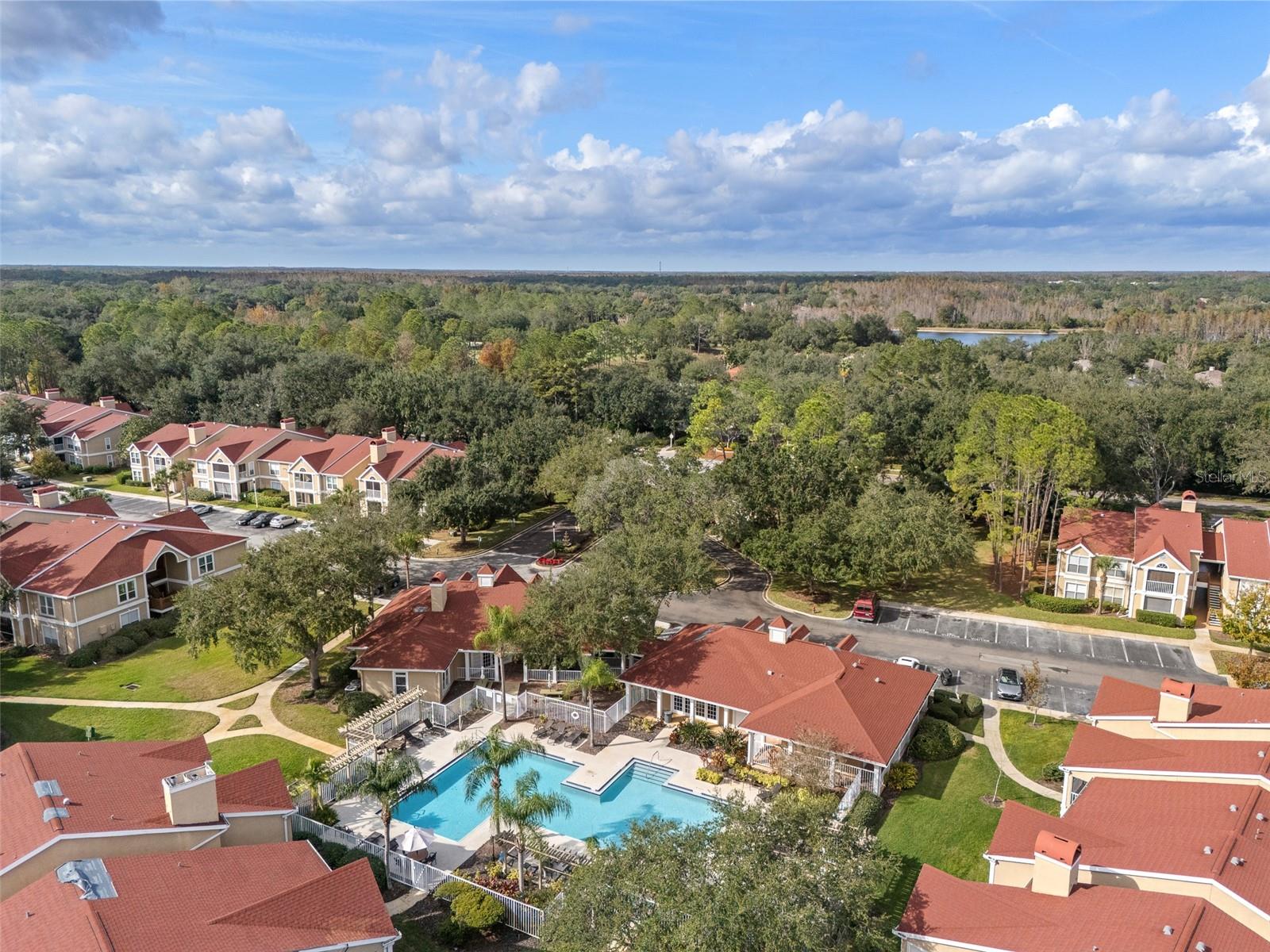 9481 HIGHLAND OAK DR #1709, TAMPA, FL — photo 44
