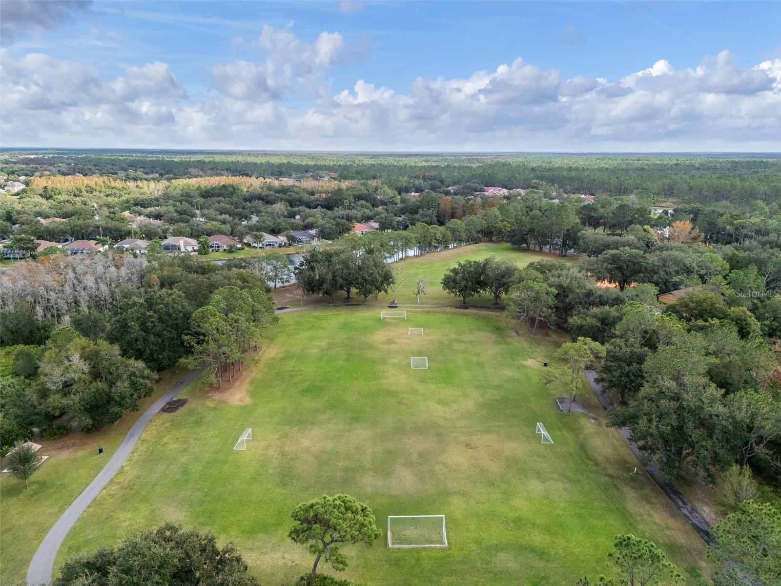 9481 HIGHLAND OAK DR #1709, TAMPA, FL — photo 47