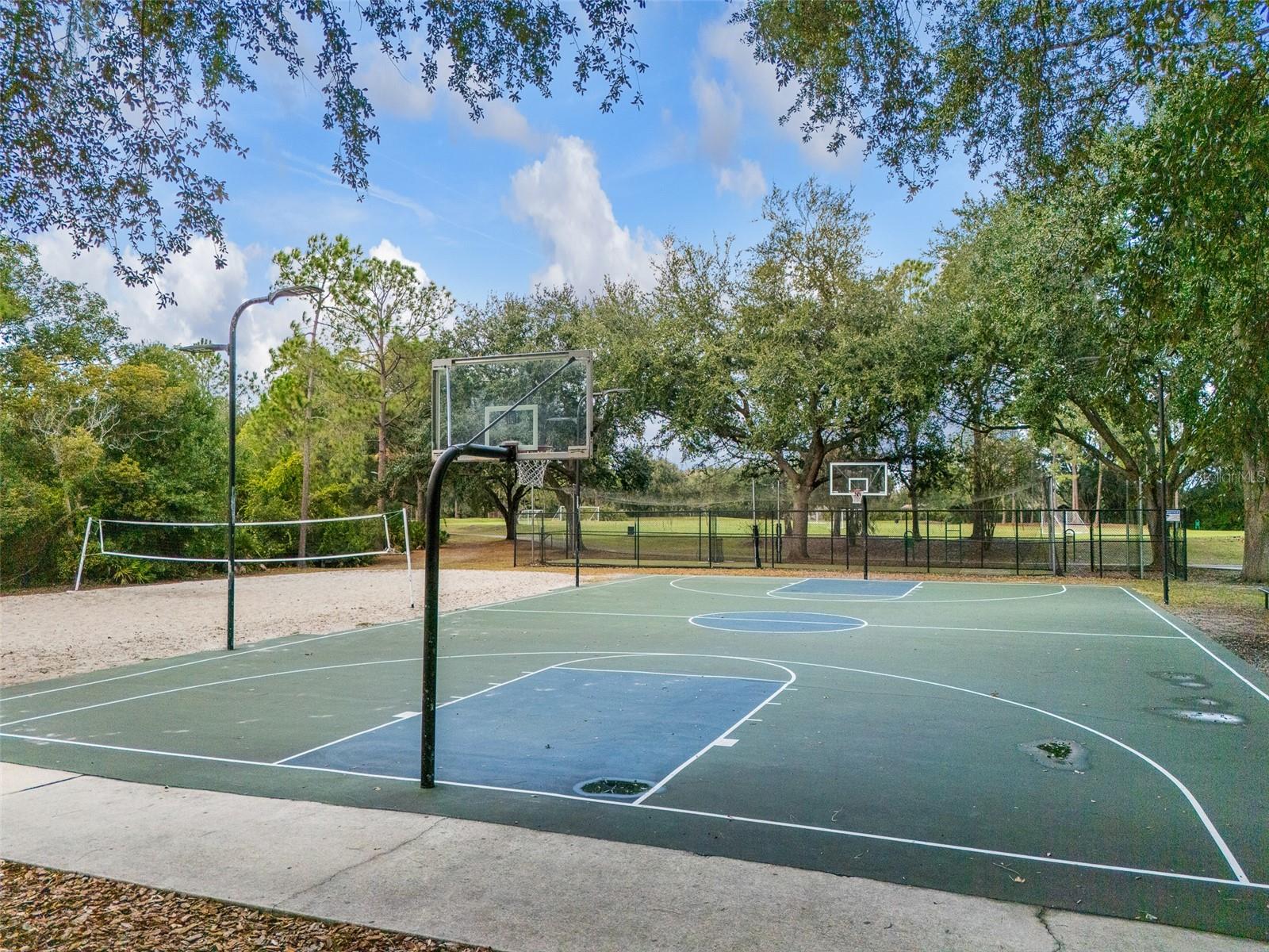 9481 HIGHLAND OAK DR #1709, TAMPA, FL — photo 49