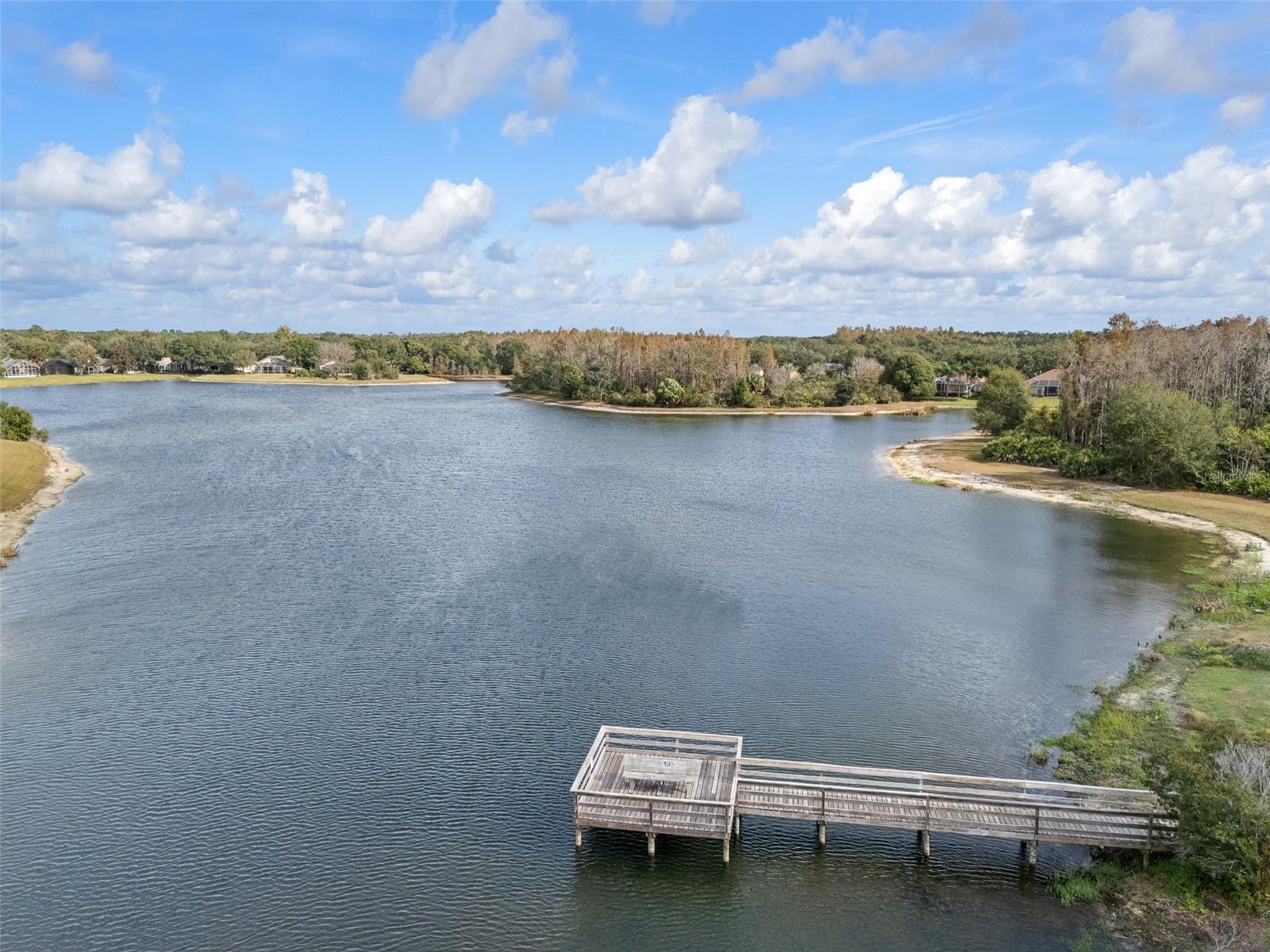 9481 HIGHLAND OAK DR #1709, TAMPA, FL — photo 52