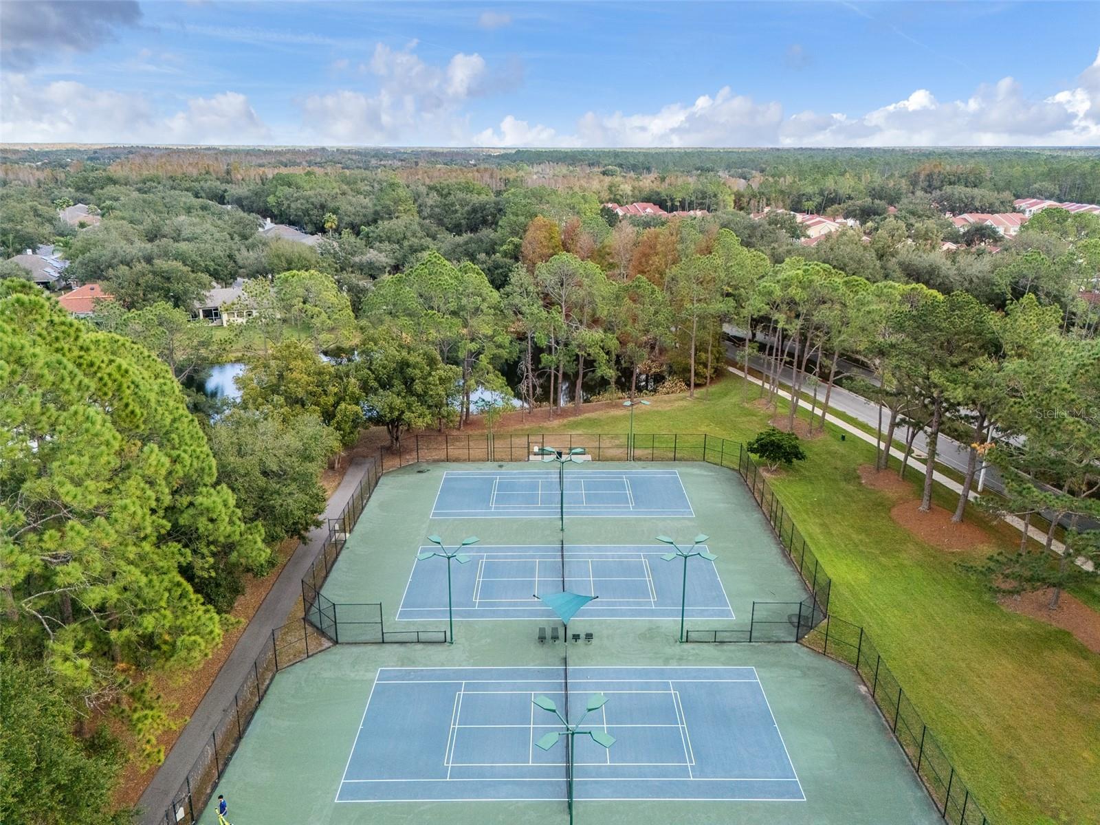 9481 HIGHLAND OAK DR #1709, TAMPA, FL — photo 53