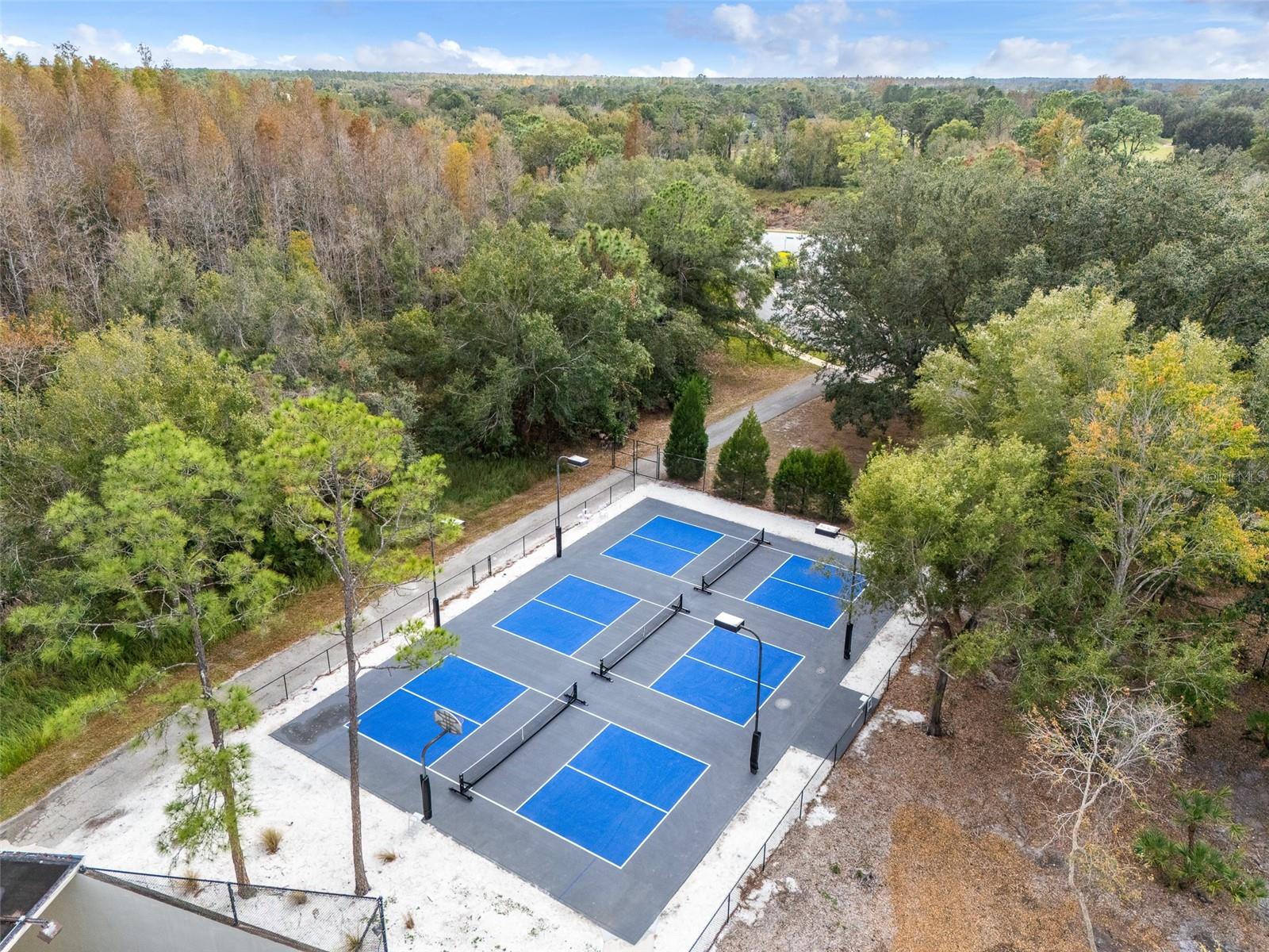 9481 HIGHLAND OAK DR #1709, TAMPA, FL — photo 64