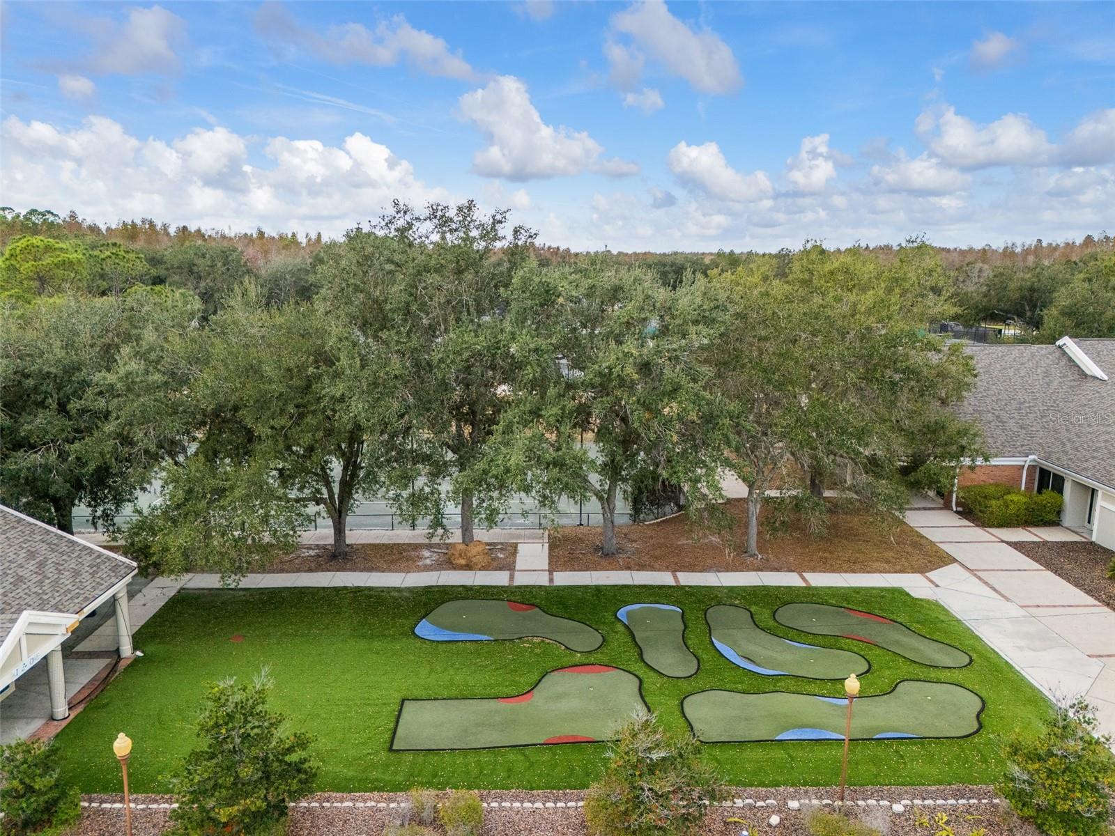 9481 HIGHLAND OAK DR #1709, TAMPA, FL — photo 68