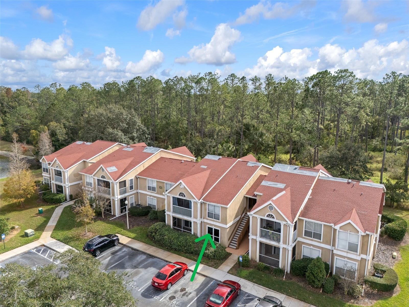 9481 HIGHLAND OAK DR #1709, TAMPA, FL — photo 2