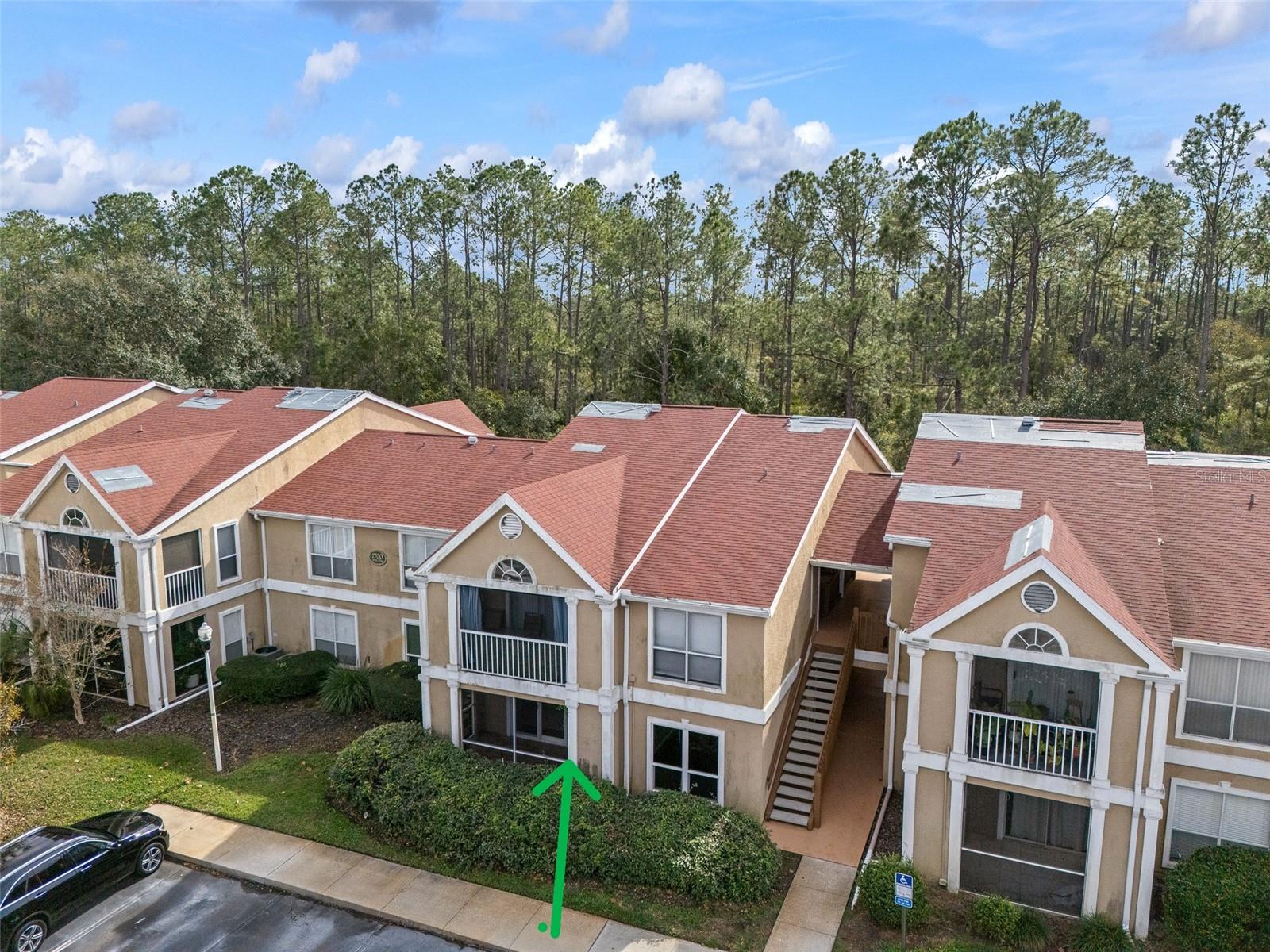 9481 HIGHLAND OAK DR #1709, TAMPA, FL — photo 36
