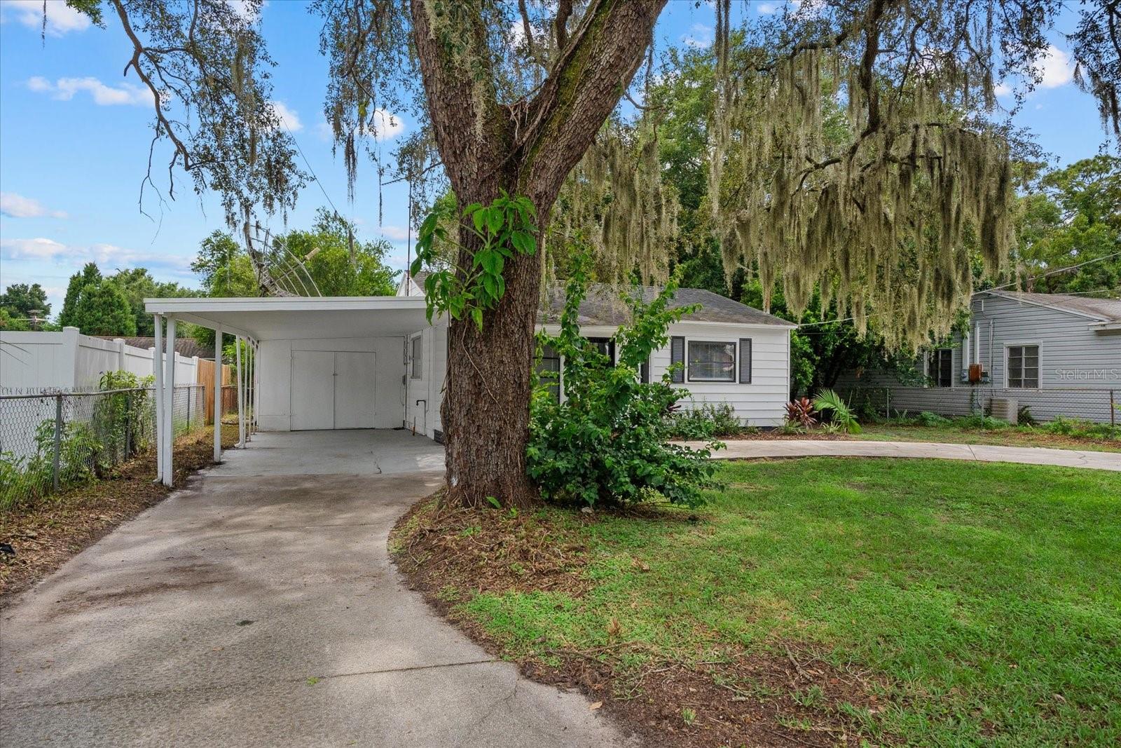 305 E BOUGAINVILLEA AVE, TAMPA, FL — photo 2