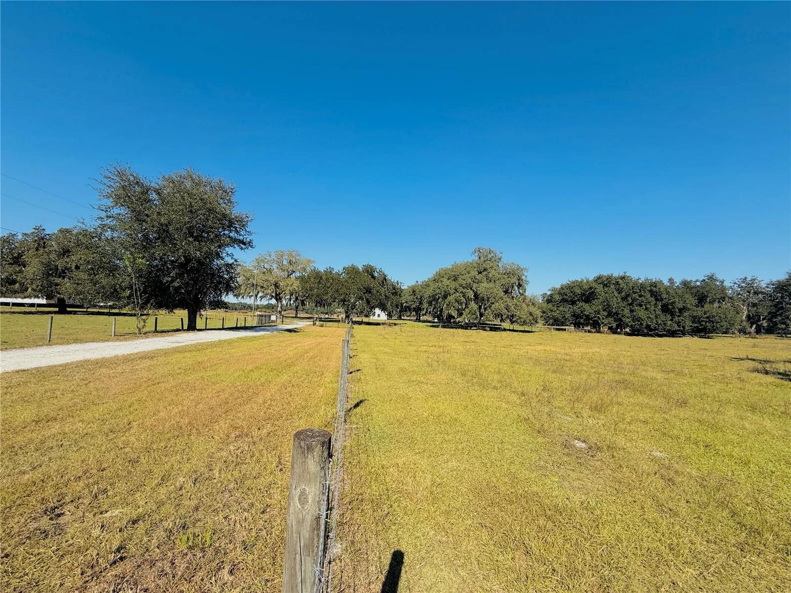 7223 SW 55TH ST, BUSHNELL, FL — photo 7