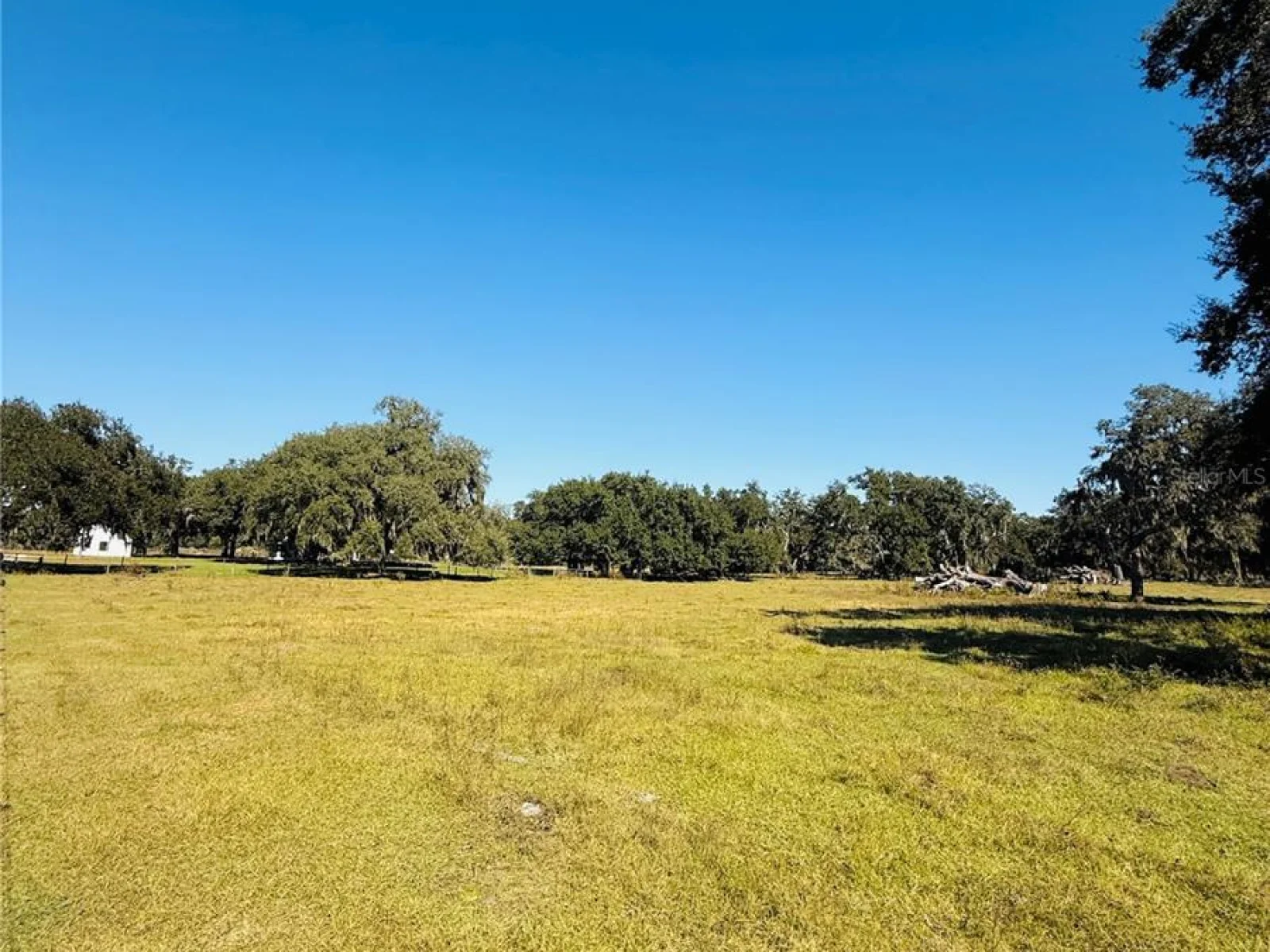 7223 SW 55TH ST, BUSHNELL, FL — photo 56
