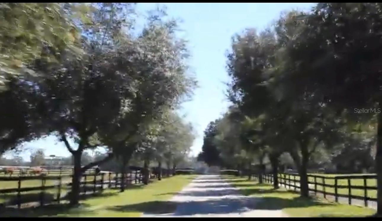 9400 NW 160TH ST, REDDICK, FL — photo 10