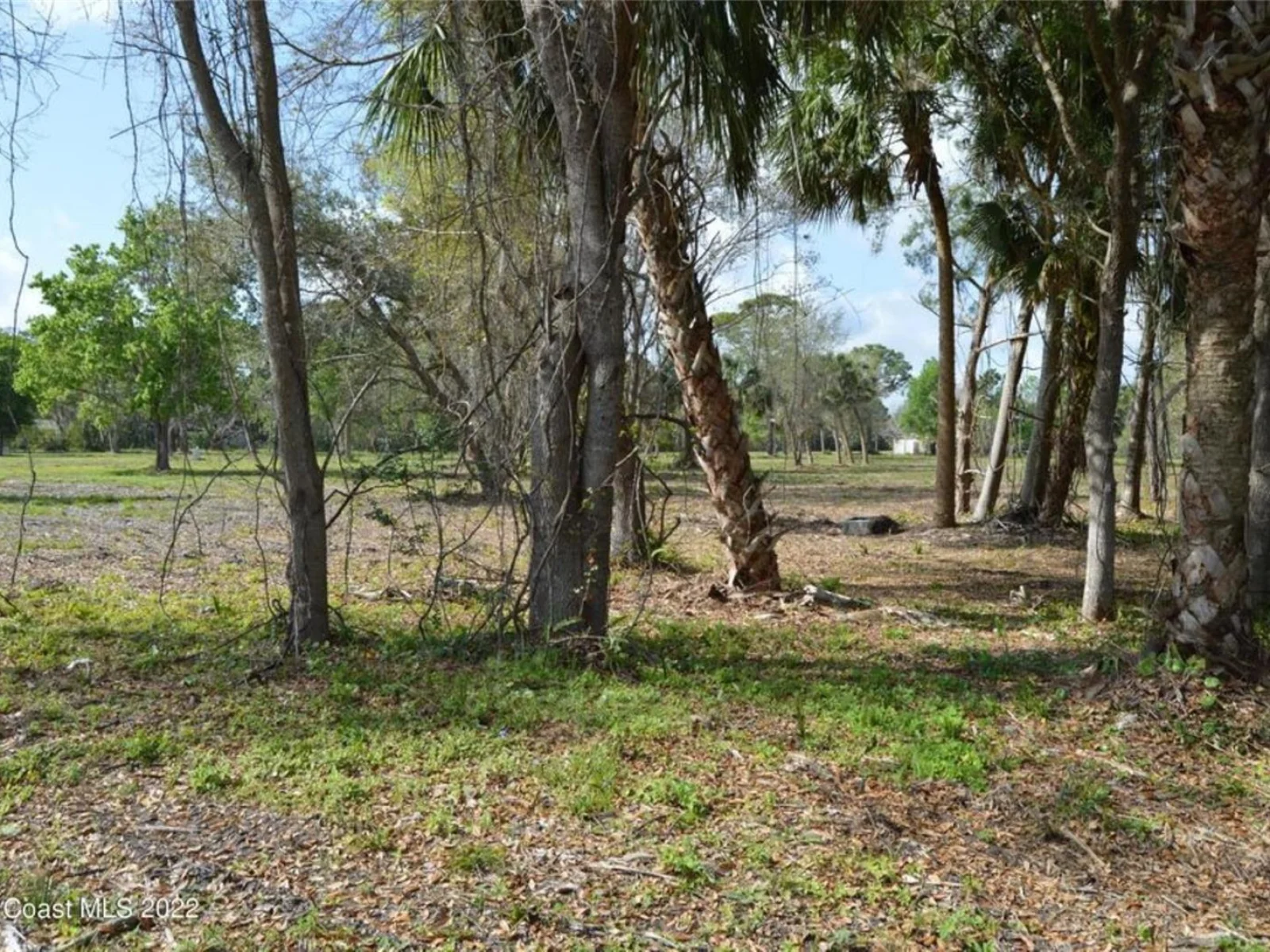 3500 US HIGHWAY 1, MIMS, FL — photo 4