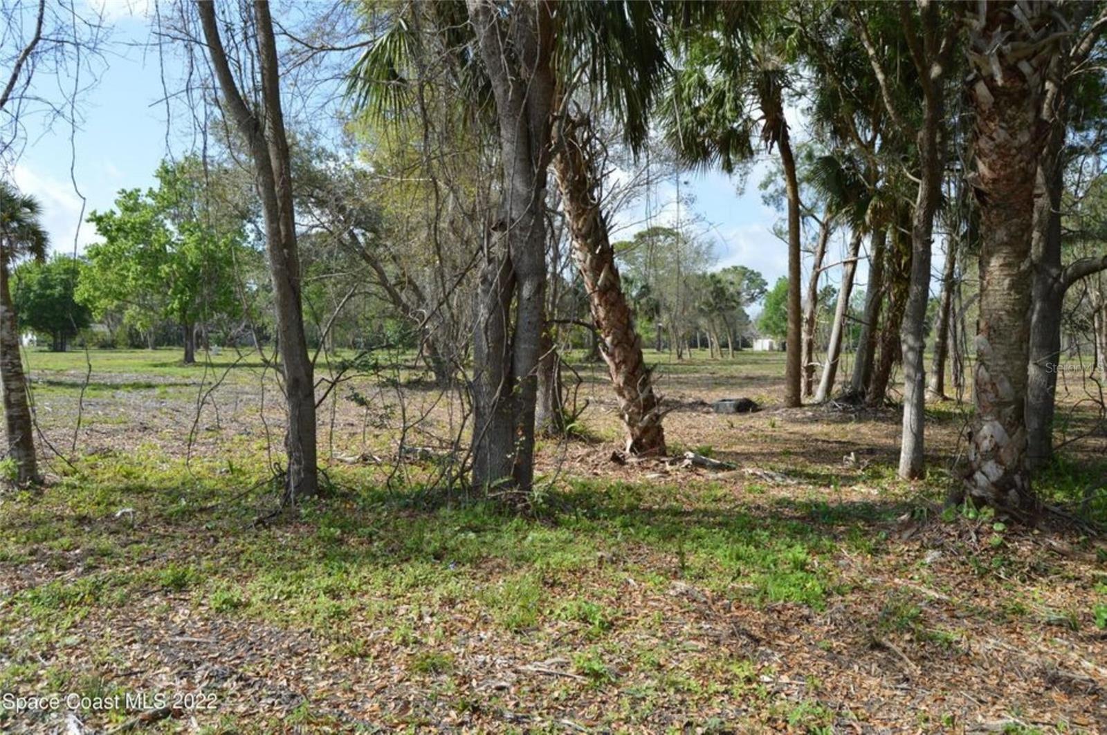 3500 US HIGHWAY 1, MIMS, FL — photo 3