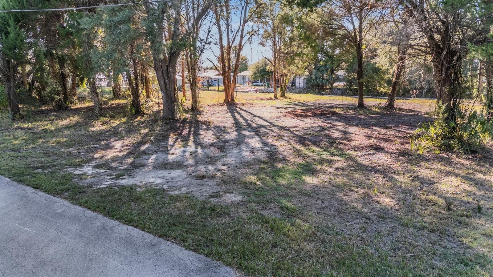 3924 N APALACHEE PT, CRYSTAL RIVER, FL — photo 2