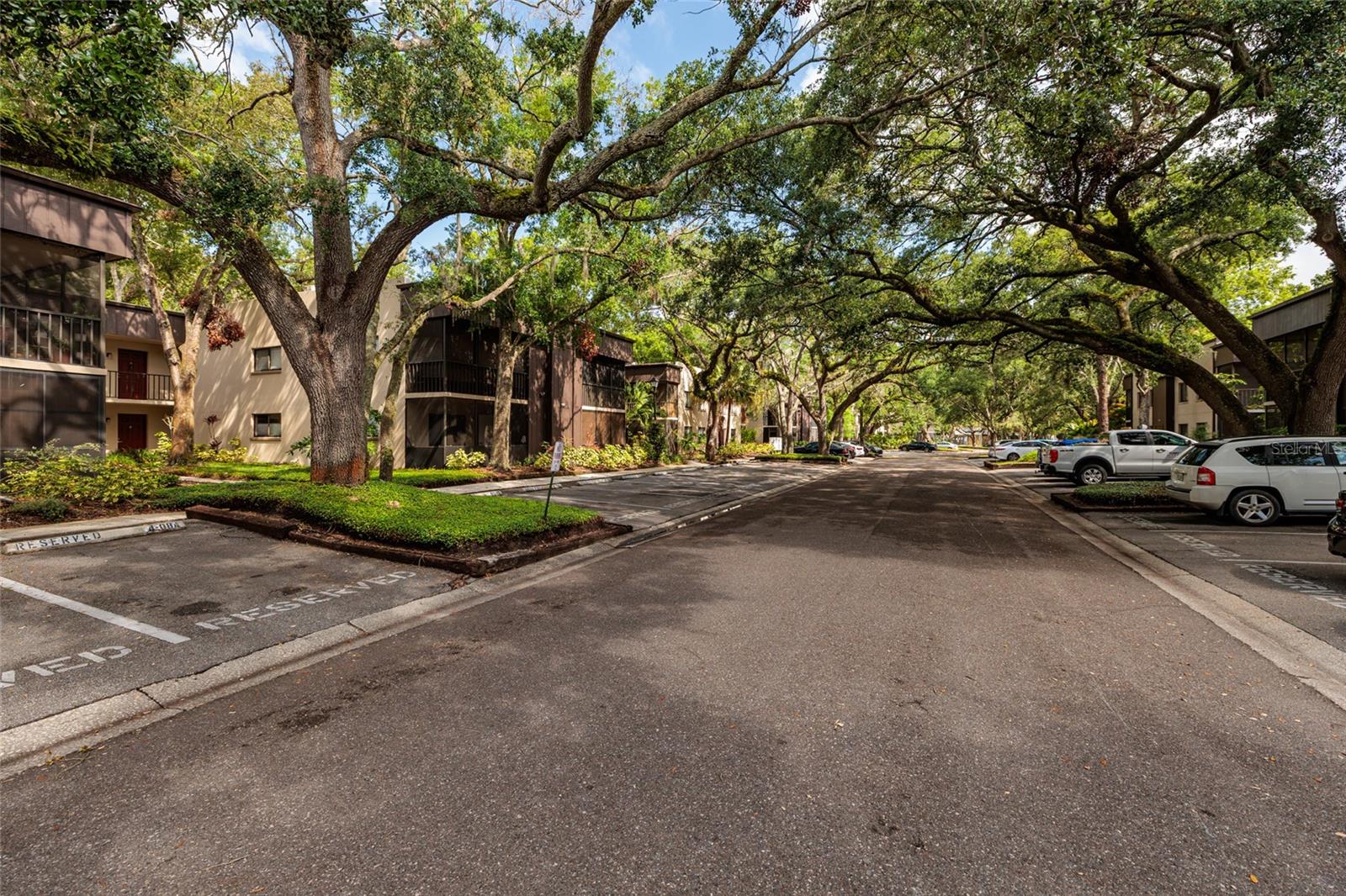 11708 RAINTREE VILLAGE BLVD #A, TEMPLE TERRACE, FL — photo 2