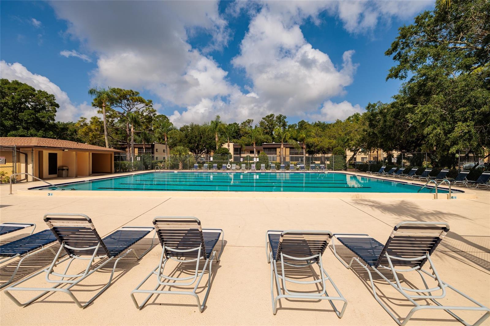 11708 RAINTREE VILLAGE BLVD #A, TEMPLE TERRACE, FL — photo 18