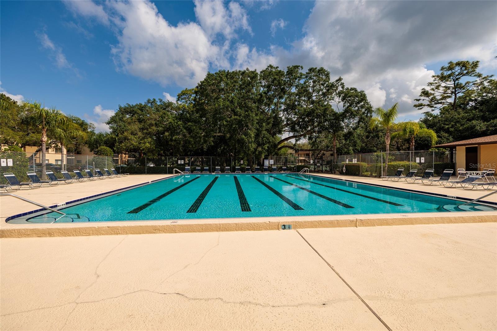 11708 RAINTREE VILLAGE BLVD #A, TEMPLE TERRACE, FL — photo 19
