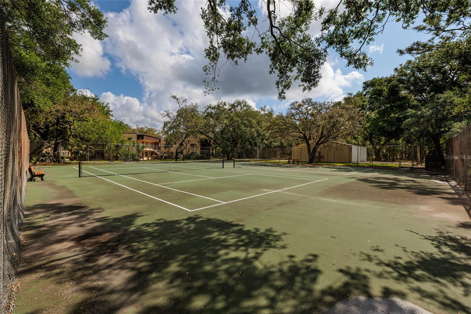 11708 RAINTREE VILLAGE BLVD #A, TEMPLE TERRACE, FL — photo 20
