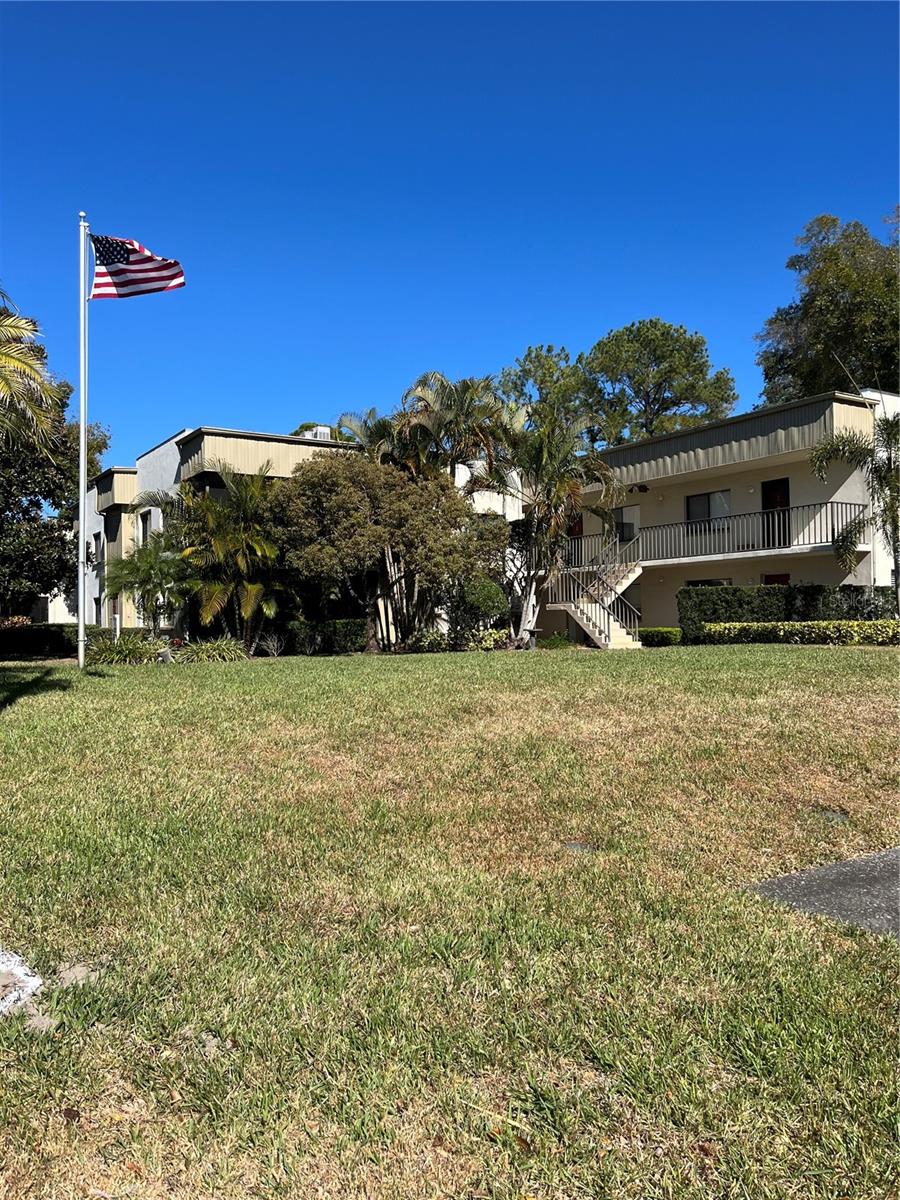 3300 FOX CHASE CIR N #226, PALM HARBOR, FL — photo 12