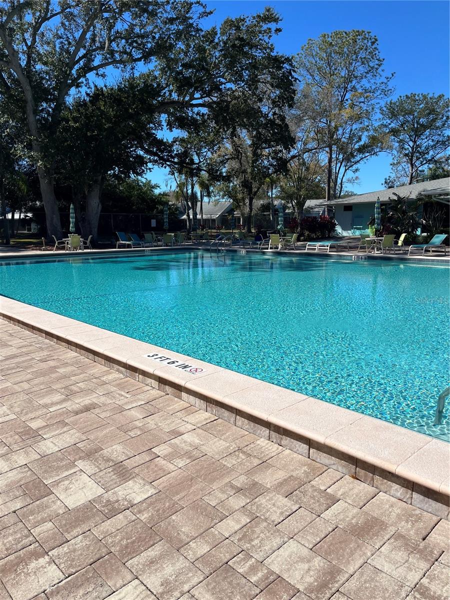 3300 FOX CHASE CIR N #226, PALM HARBOR, FL — photo 15