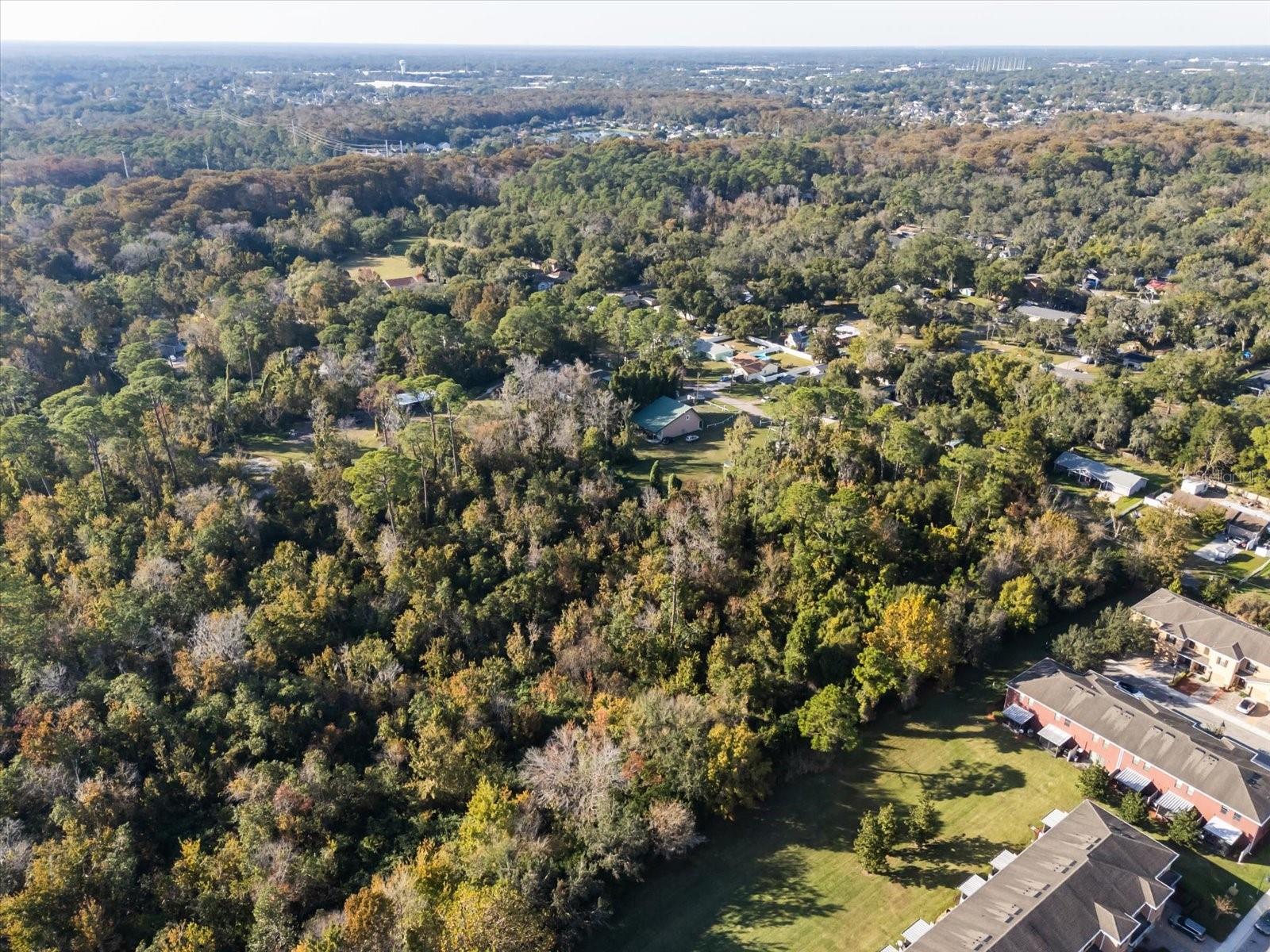HILL TOP DR, LAKE MARY, FL — photo 11