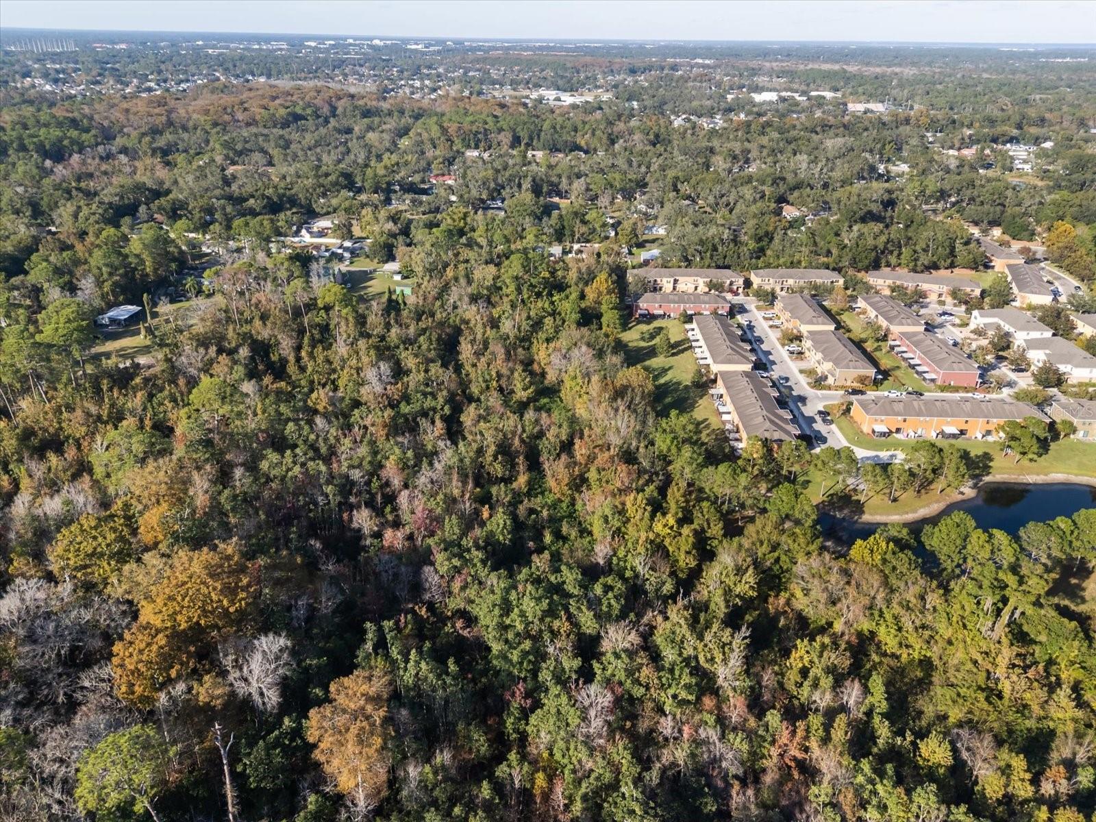 HILL TOP DR, LAKE MARY, FL — photo 12