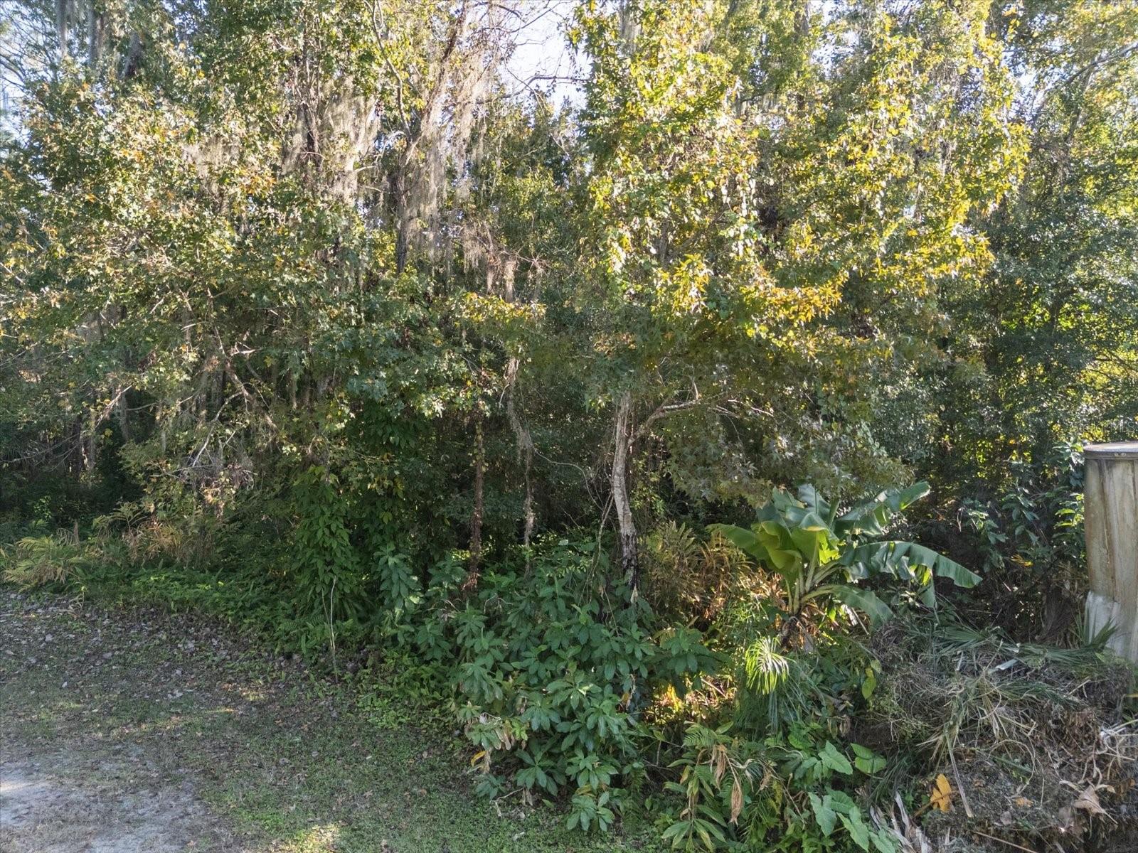 HILL TOP DR, LAKE MARY, FL — photo 18