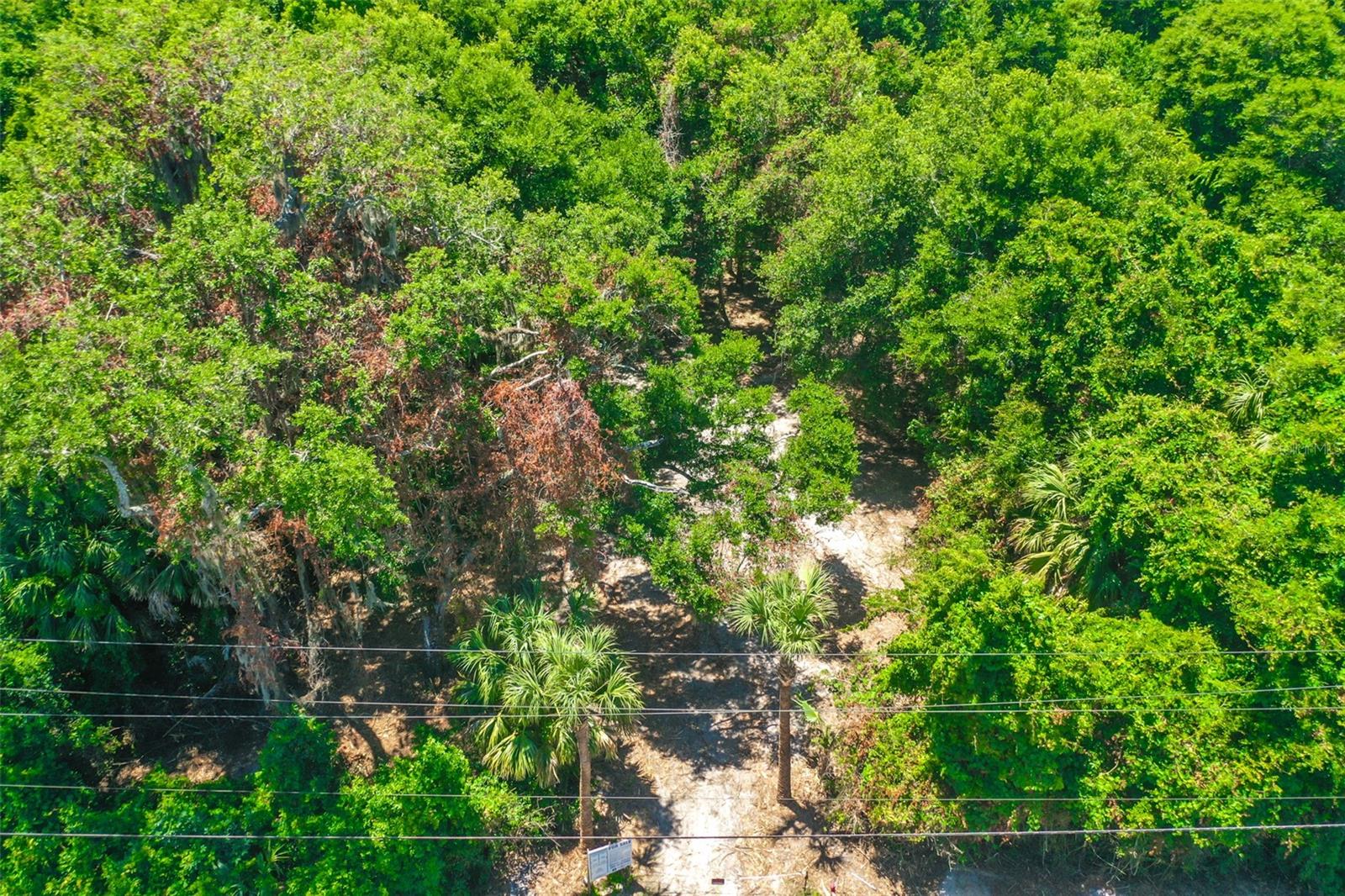 4400 N OCEAN SHORE BLVD, PALM COAST, FL — photo 5