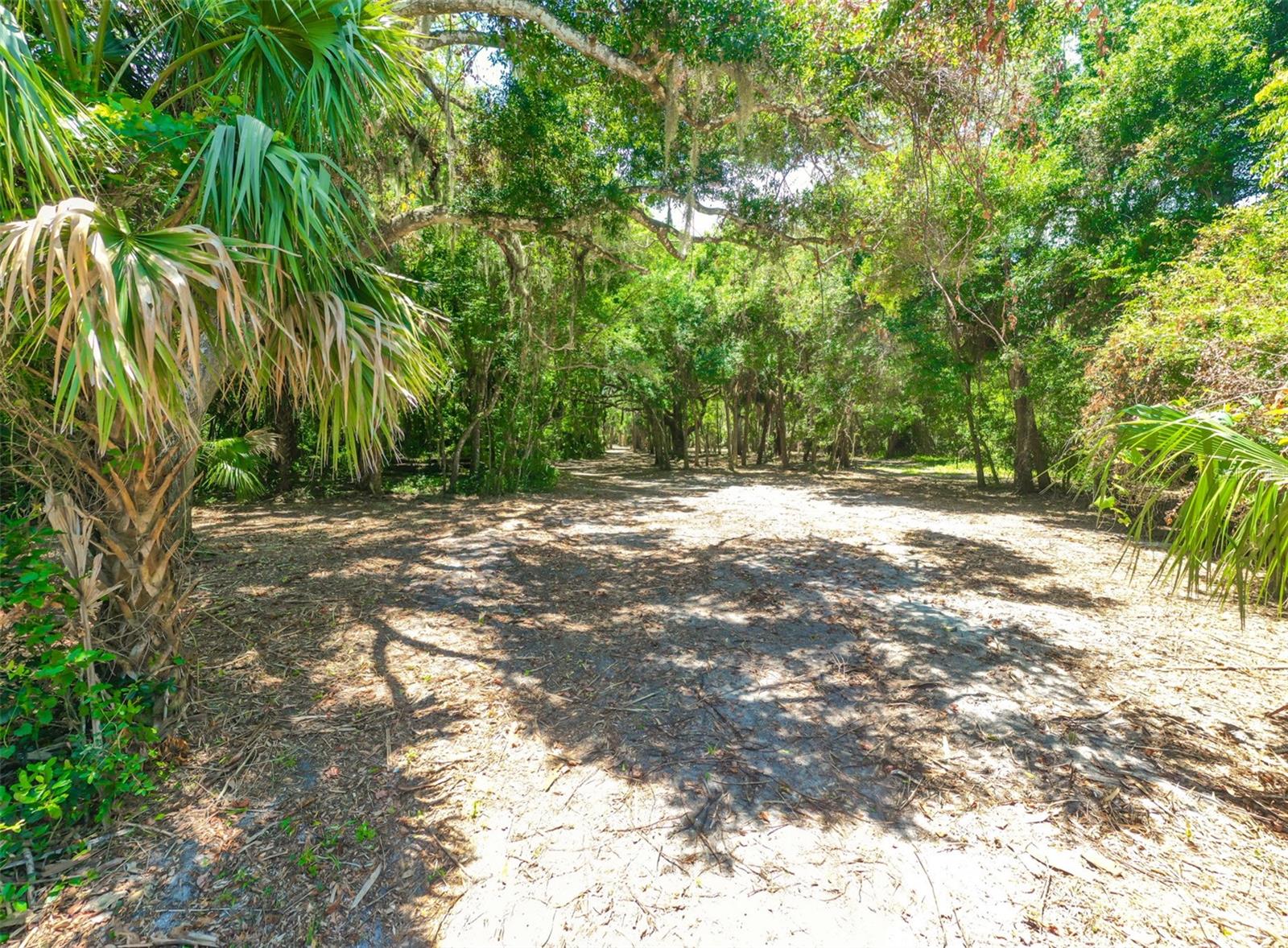 4400 N OCEAN SHORE BLVD, PALM COAST, FL — photo 11