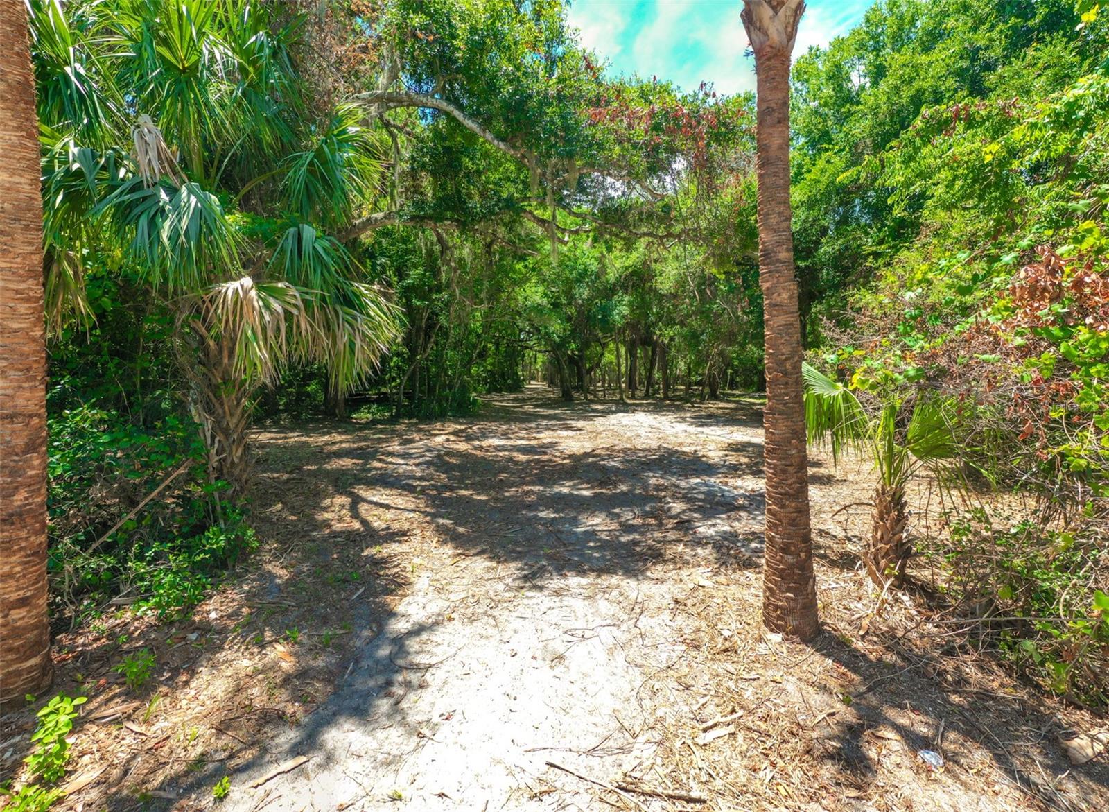 4400 N OCEAN SHORE BLVD, PALM COAST, FL — photo 6